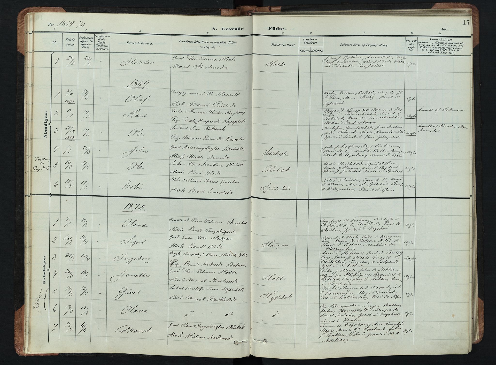 Kvikne prestekontor, AV/SAH-PREST-064/H/Ha/Hab/L0002: Parish register (copy) no. 2, 1859-1901, p. 17