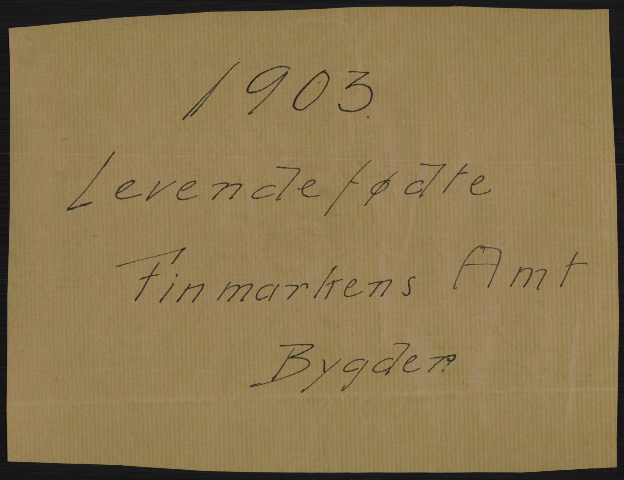 Statistisk sentralbyrå, Sosiodemografiske emner, Befolkning, RA/S-2228/D/Df/Dfa/Dfaa/L0022: Finnmarkens amt: Fødte, gifte, døde., 1903, p. 1