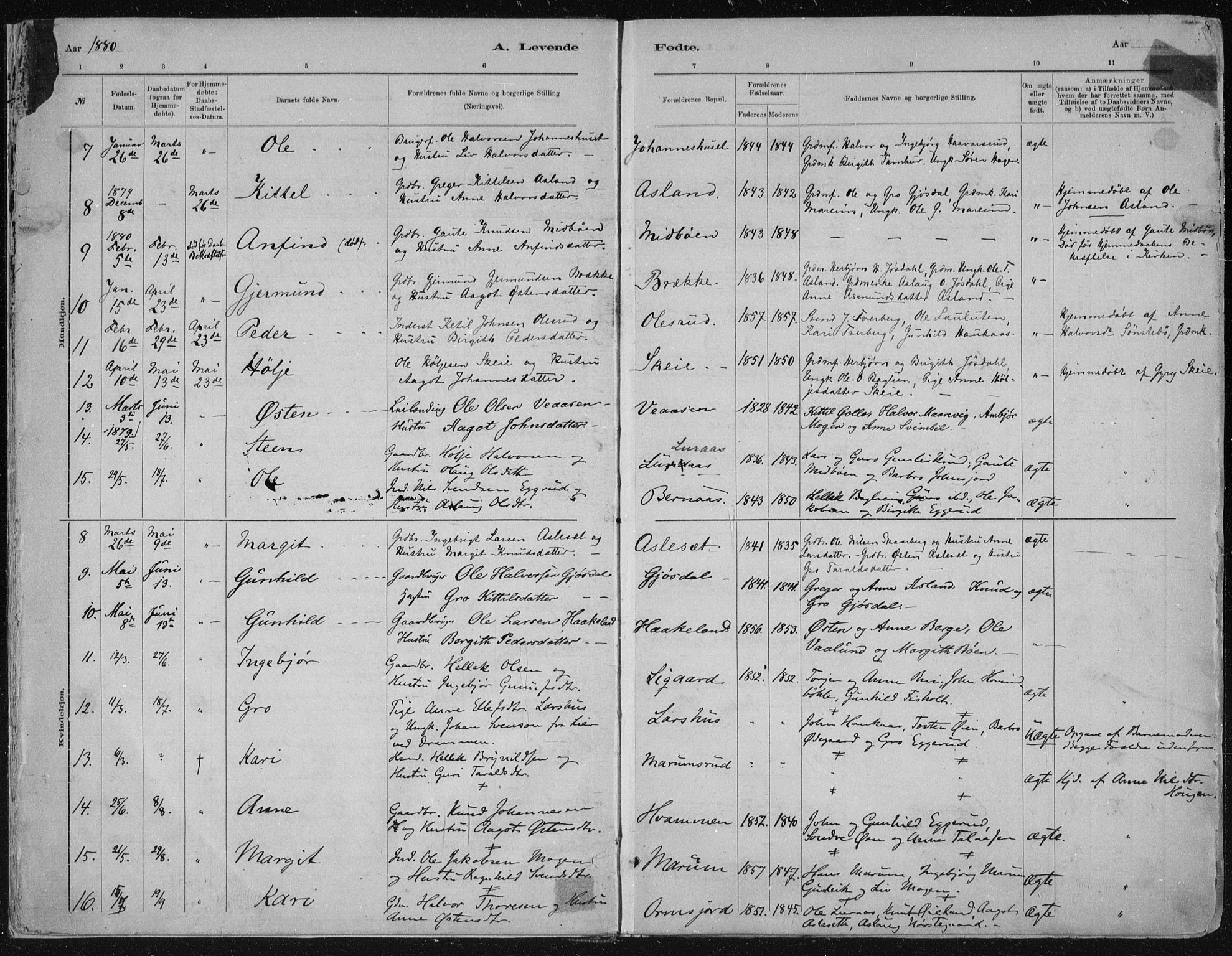 Tinn kirkebøker, AV/SAKO-A-308/F/Fa/L0007: Parish register (official) no. I 7, 1878-1922, p. 7