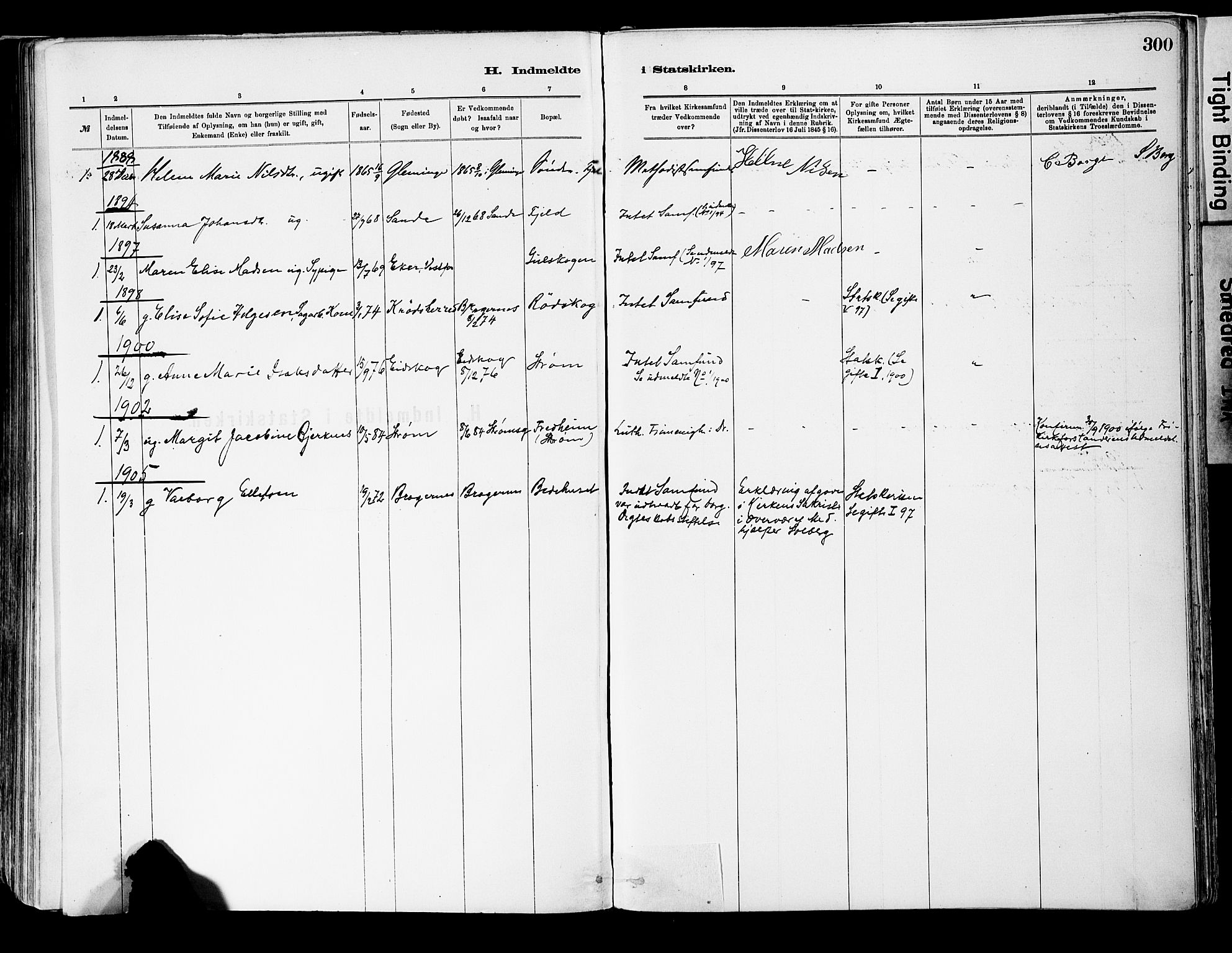 Strømsgodset kirkebøker, AV/SAKO-A-324/F/Fa/L0001: Parish register (official) no. 1, 1885-1909, p. 300