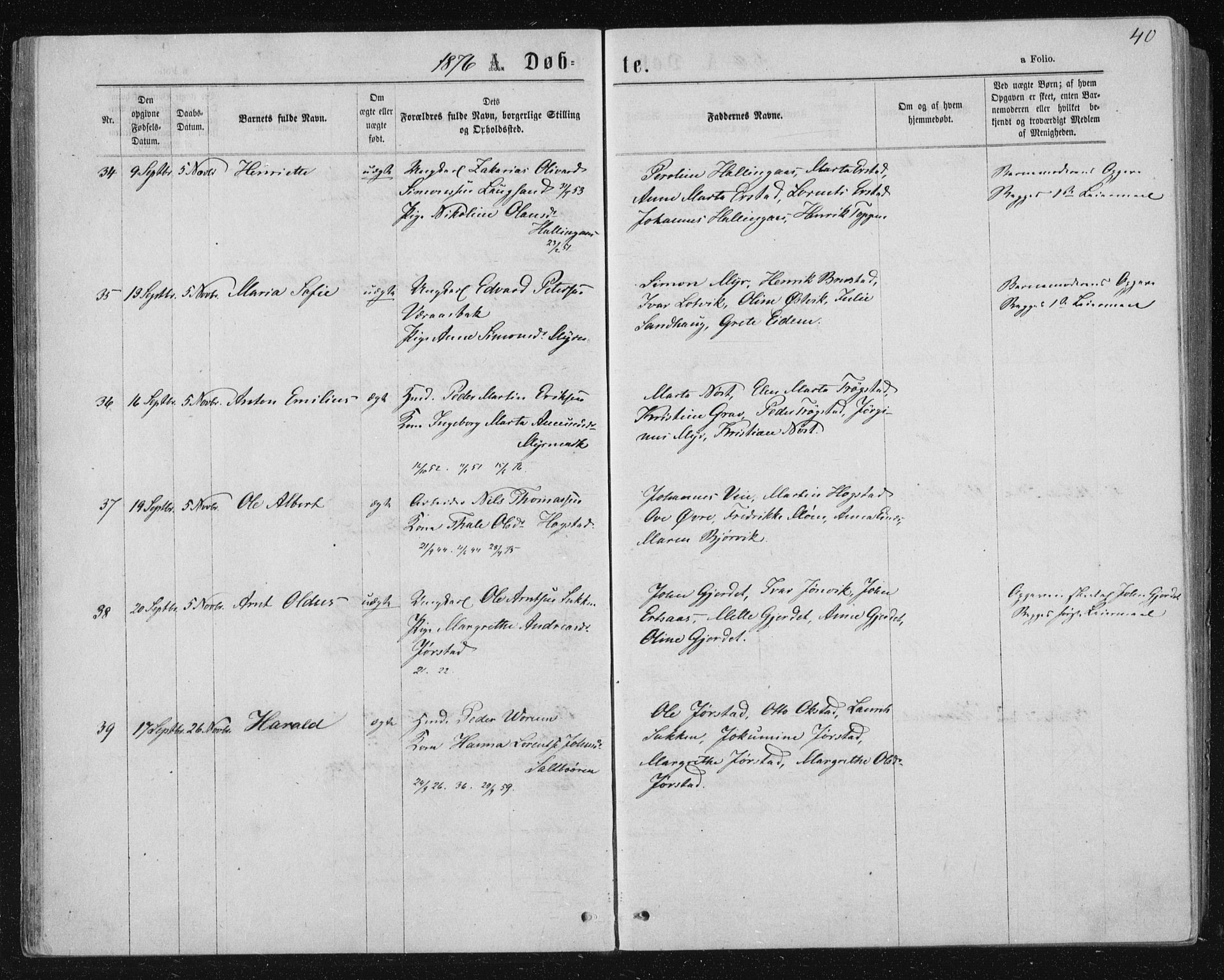 Ministerialprotokoller, klokkerbøker og fødselsregistre - Nord-Trøndelag, AV/SAT-A-1458/722/L0219: Parish register (official) no. 722A06, 1868-1880, p. 40