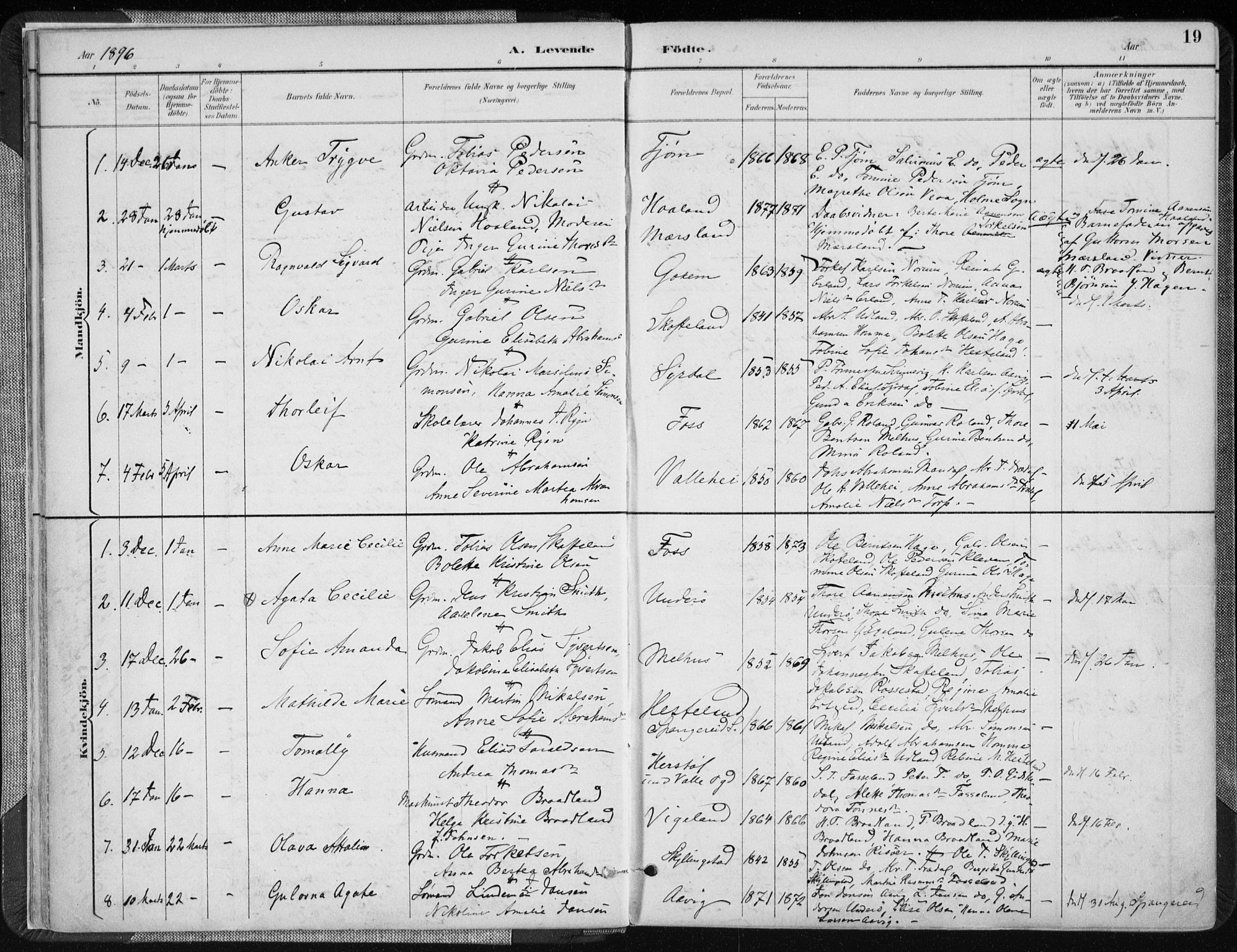 Sør-Audnedal sokneprestkontor, AV/SAK-1111-0039/F/Fa/Fab/L0010: Parish register (official) no. A 10, 1892-1913, p. 19