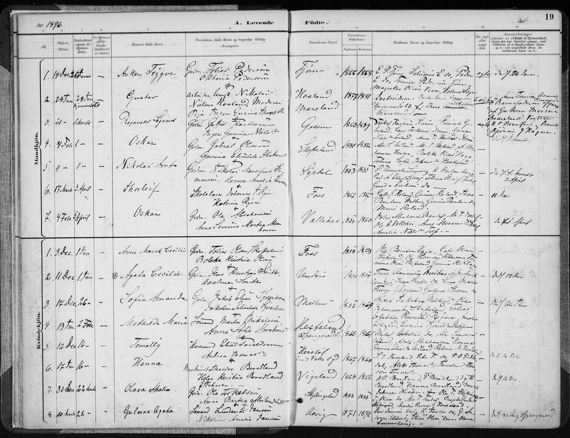 Sør-Audnedal sokneprestkontor, SAK/1111-0039/F/Fa/Fab/L0010: Parish register (official) no. A 10, 1892-1913, p. 19