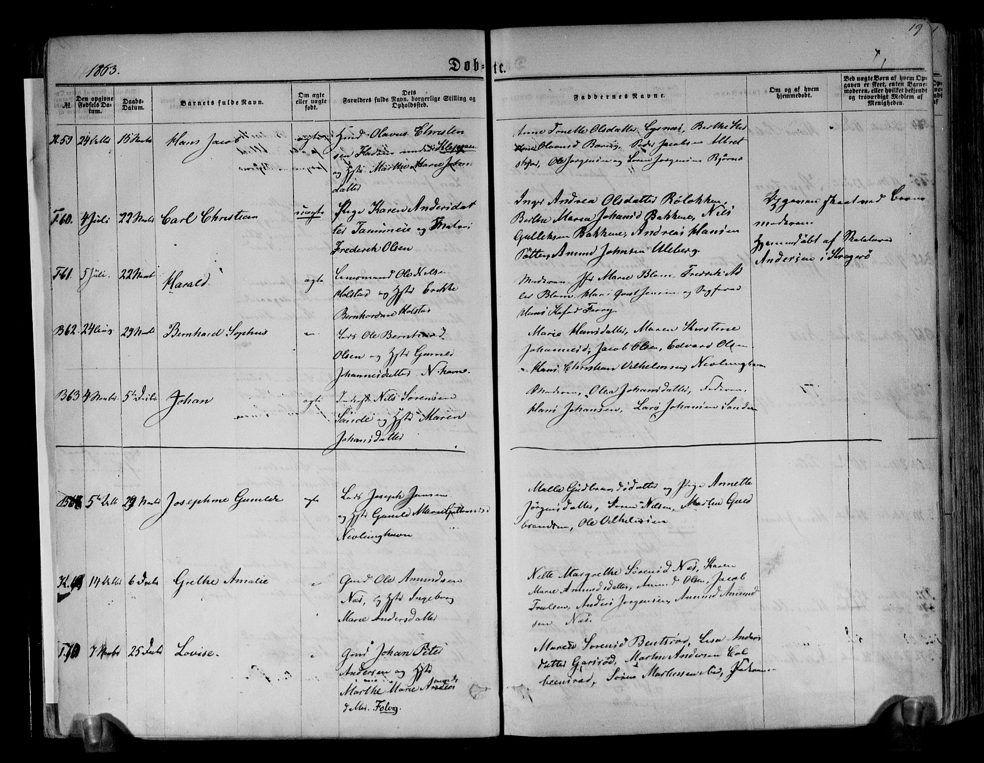 Brunlanes kirkebøker, AV/SAKO-A-342/F/Fa/L0005: Parish register (official) no. I 5, 1862-1877, p. 19