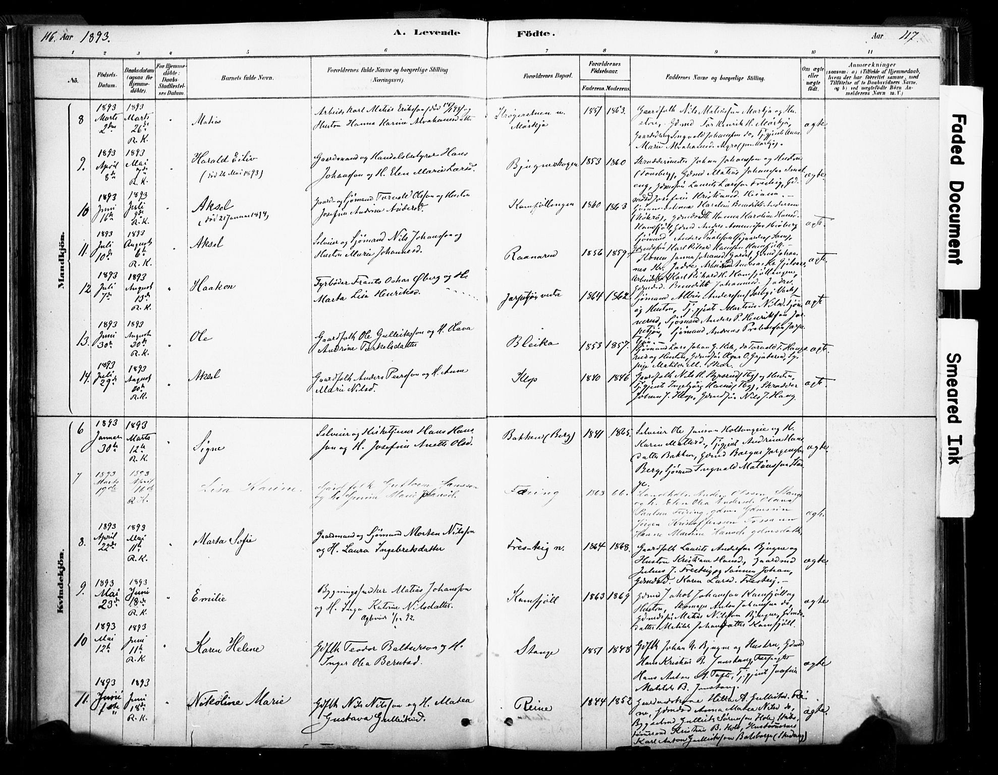 Ramnes kirkebøker, AV/SAKO-A-314/F/Fa/L0007: Parish register (official) no. I 7, 1878-1895, p. 116-117