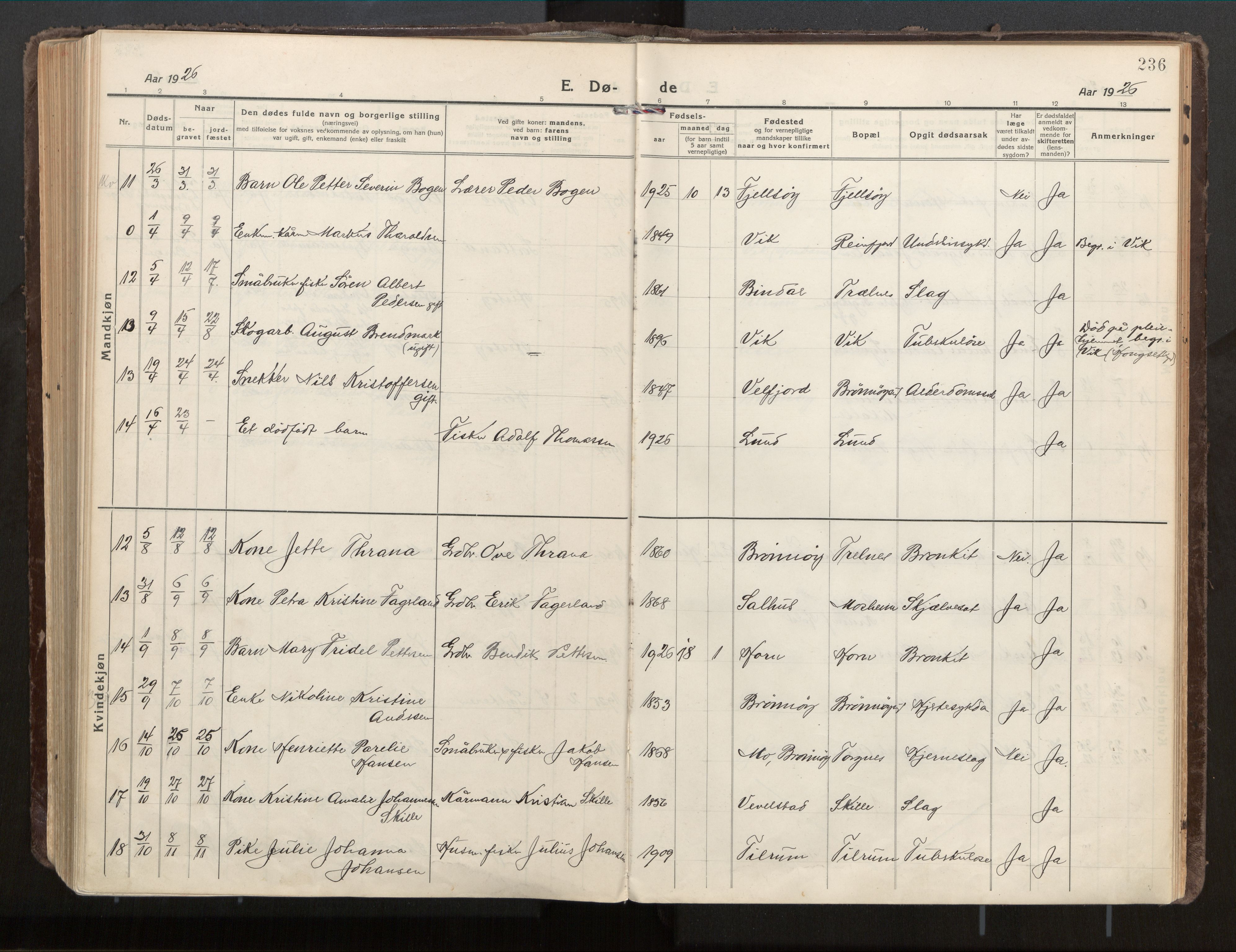 Ministerialprotokoller, klokkerbøker og fødselsregistre - Nordland, AV/SAT-A-1459/813/L0207a: Parish register (official) no. 813A18, 1919-1927, p. 236