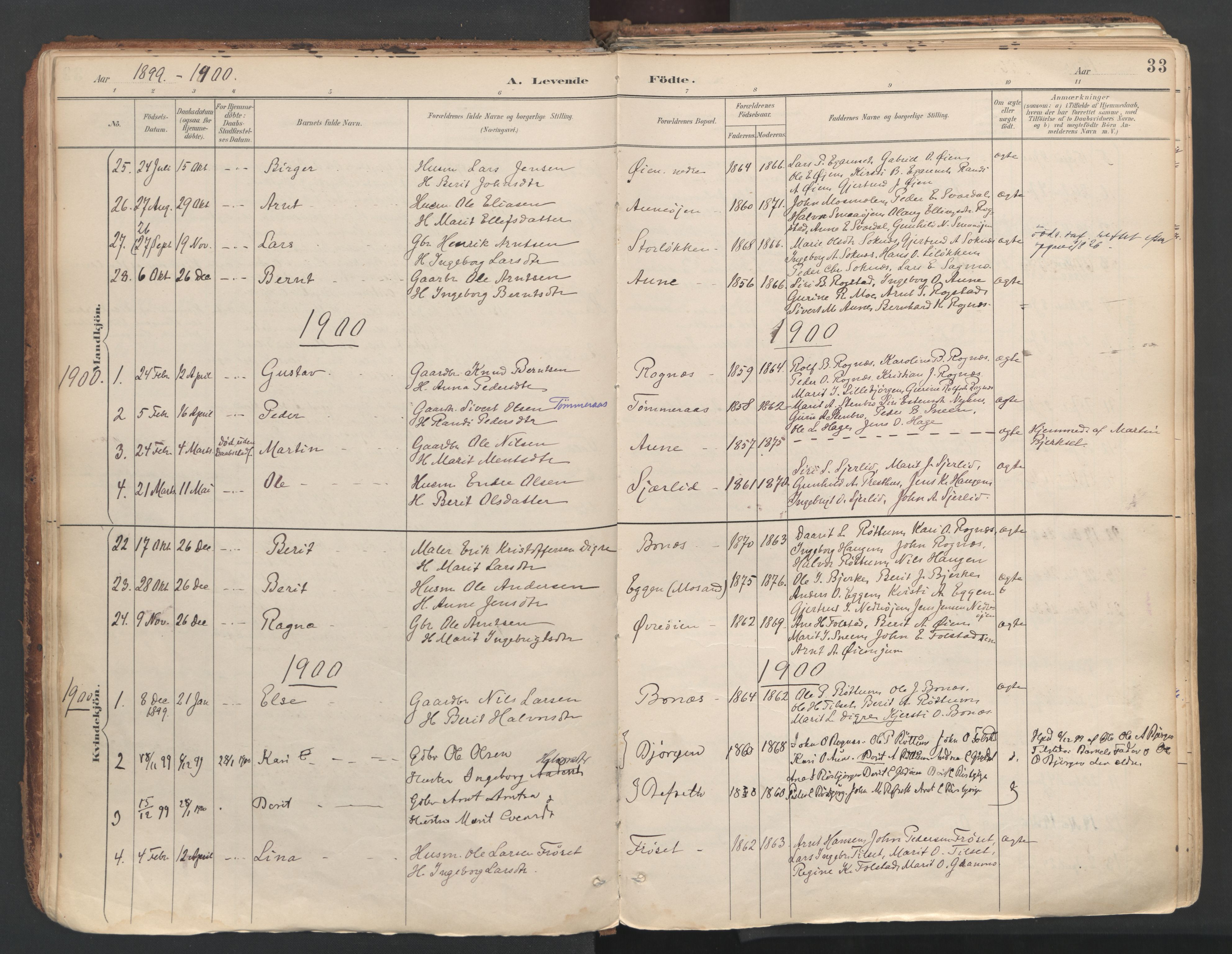 Ministerialprotokoller, klokkerbøker og fødselsregistre - Sør-Trøndelag, SAT/A-1456/687/L1004: Parish register (official) no. 687A10, 1891-1923, p. 33