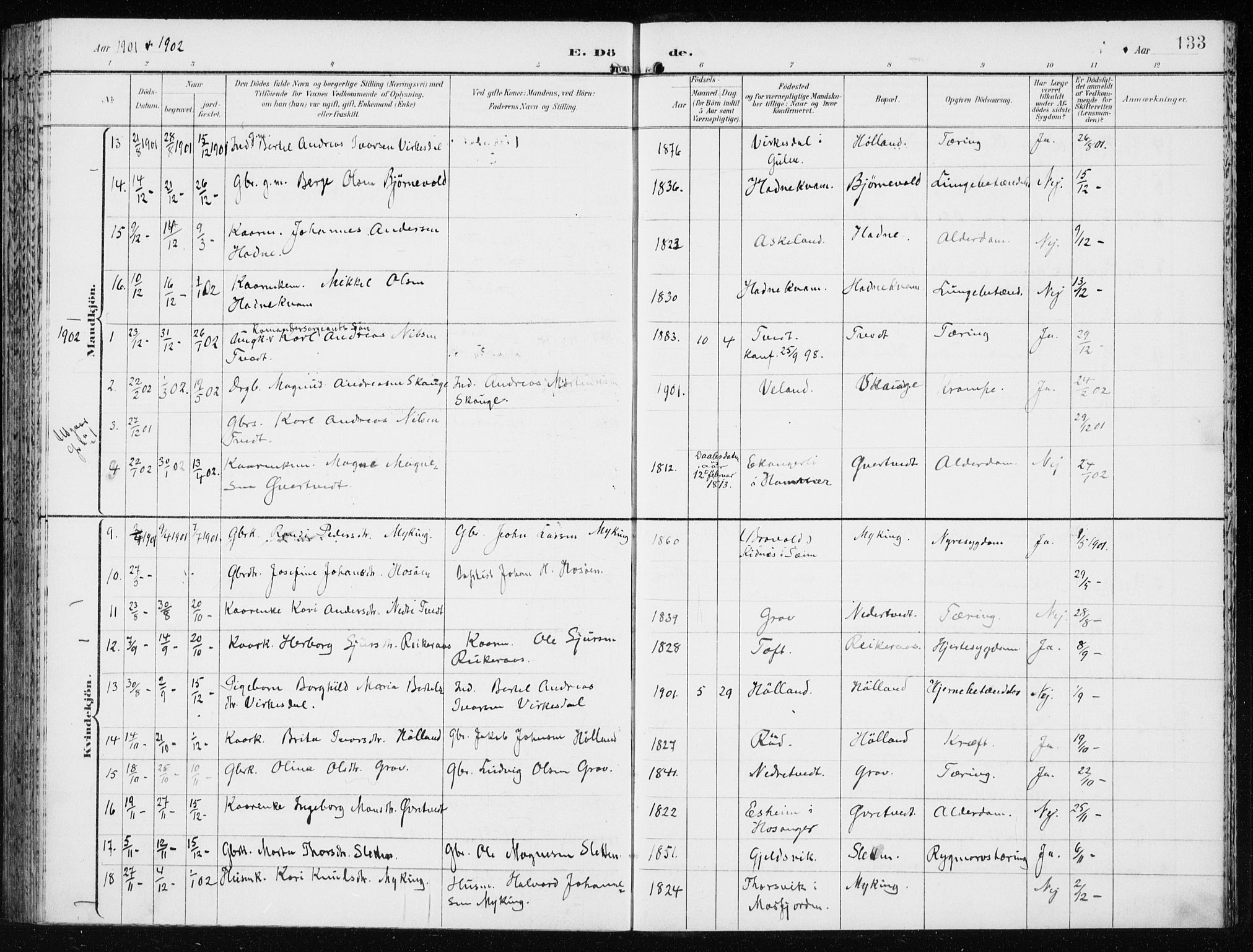 Lindås Sokneprestembete, AV/SAB-A-76701/H/Haa/Haaf/L0002: Parish register (official) no. F  2, 1897-1909, p. 133