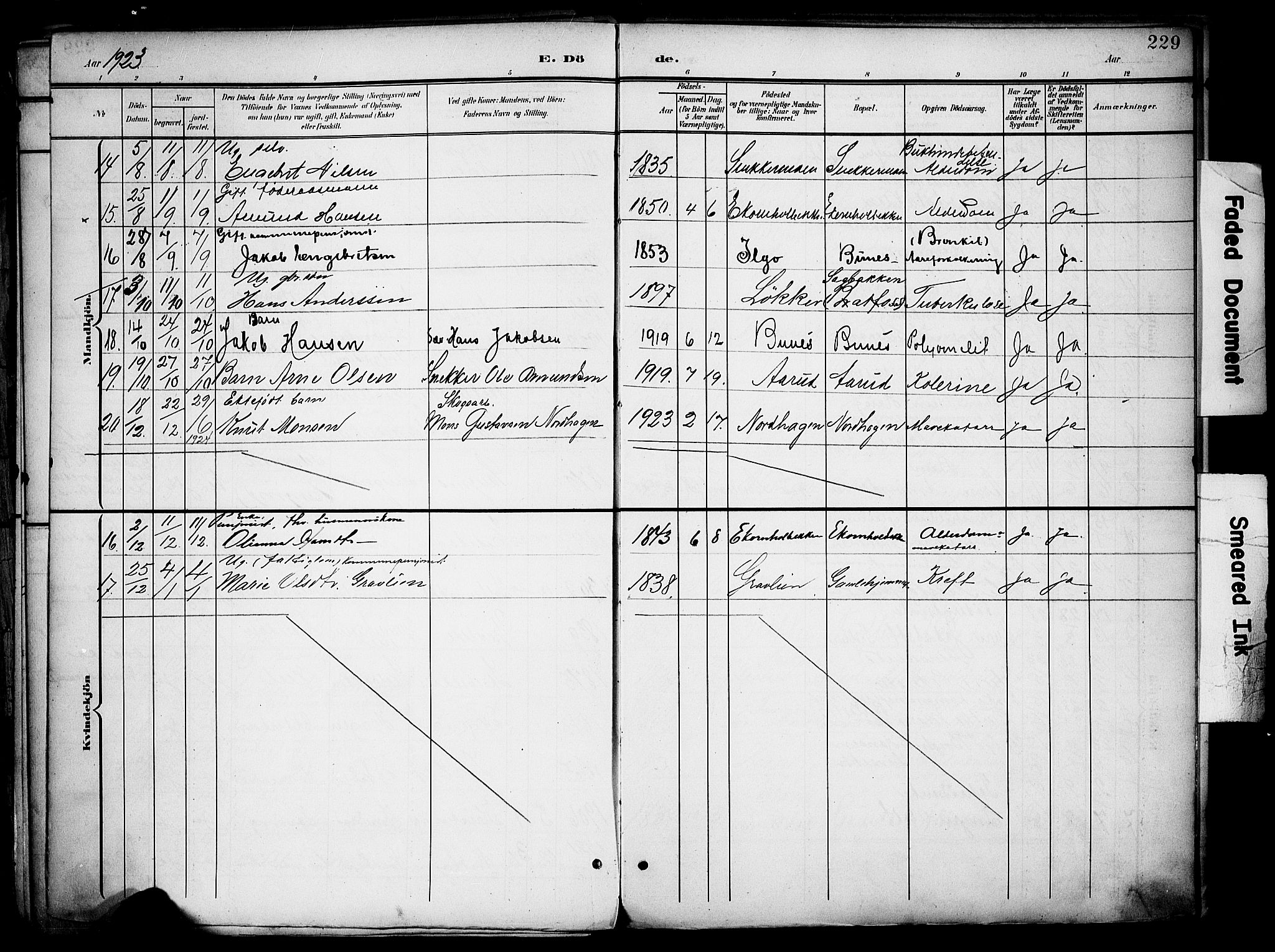 Nord-Odal prestekontor, AV/SAH-PREST-032/H/Ha/Haa/L0007: Parish register (official) no. 7, 1902-1926, p. 229