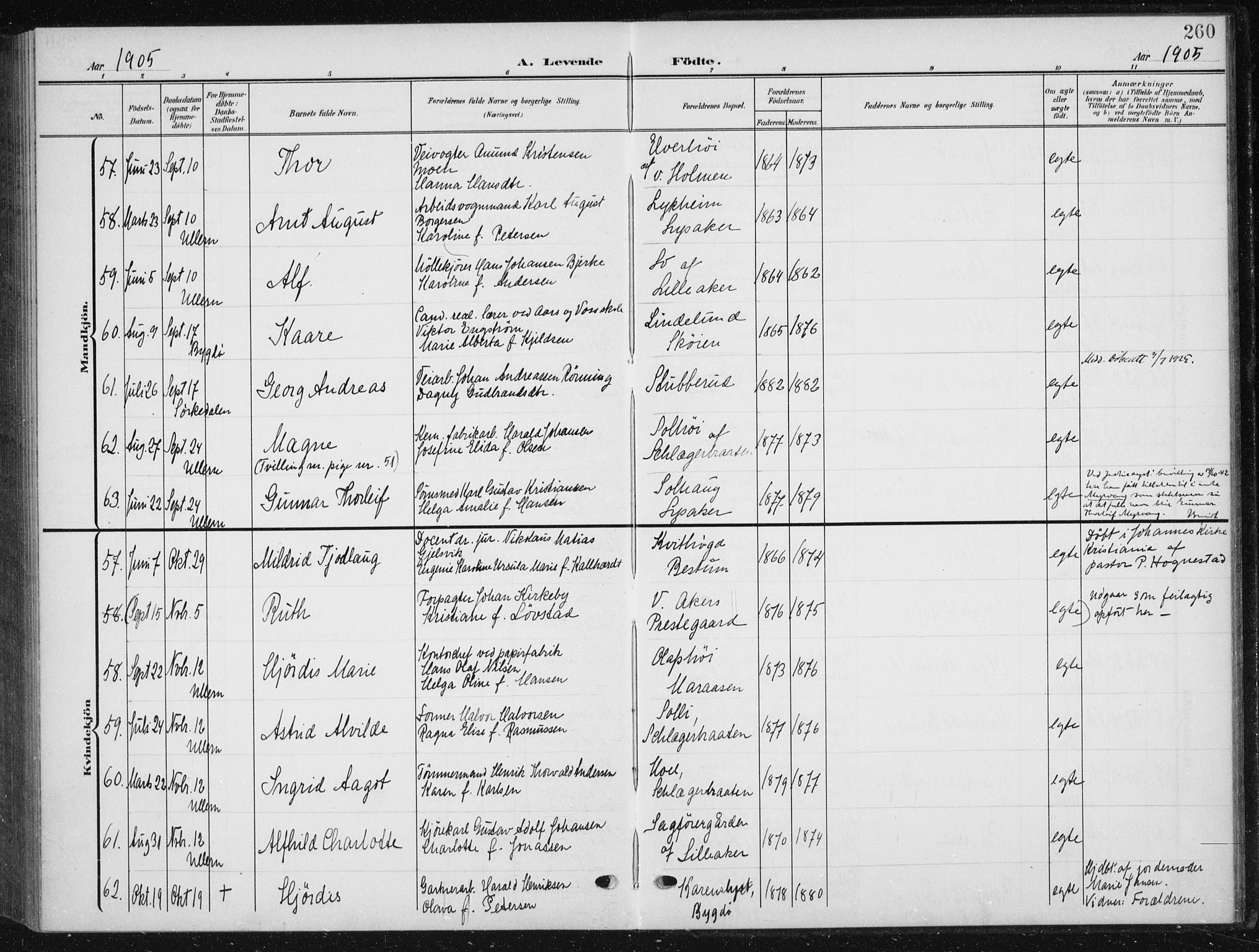 Vestre Aker prestekontor Kirkebøker, AV/SAO-A-10025/F/Fb/L0001: Parish register (official) no. II 1, 1880-1906, p. 260