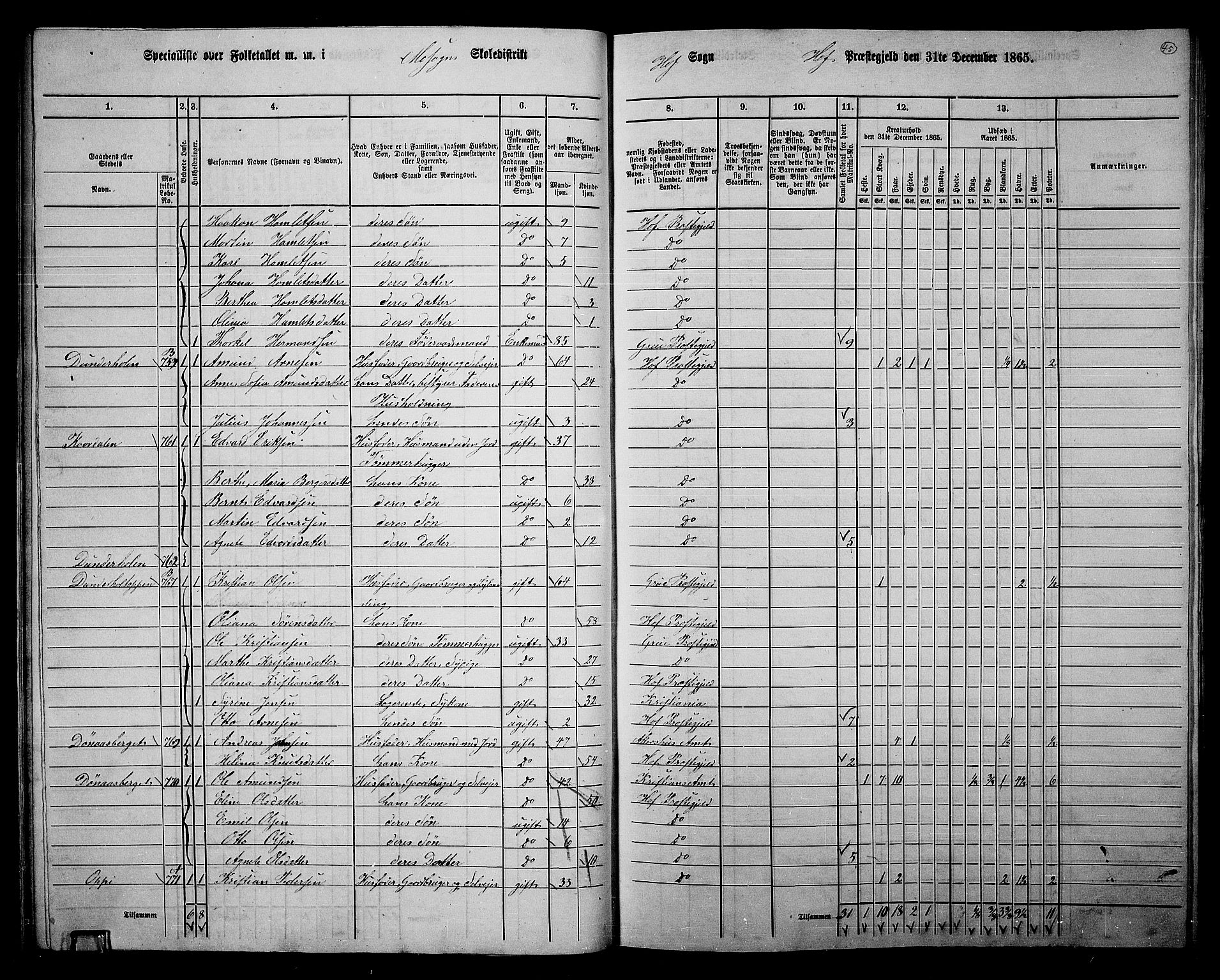 RA, 1865 census for Hof, 1865, p. 41