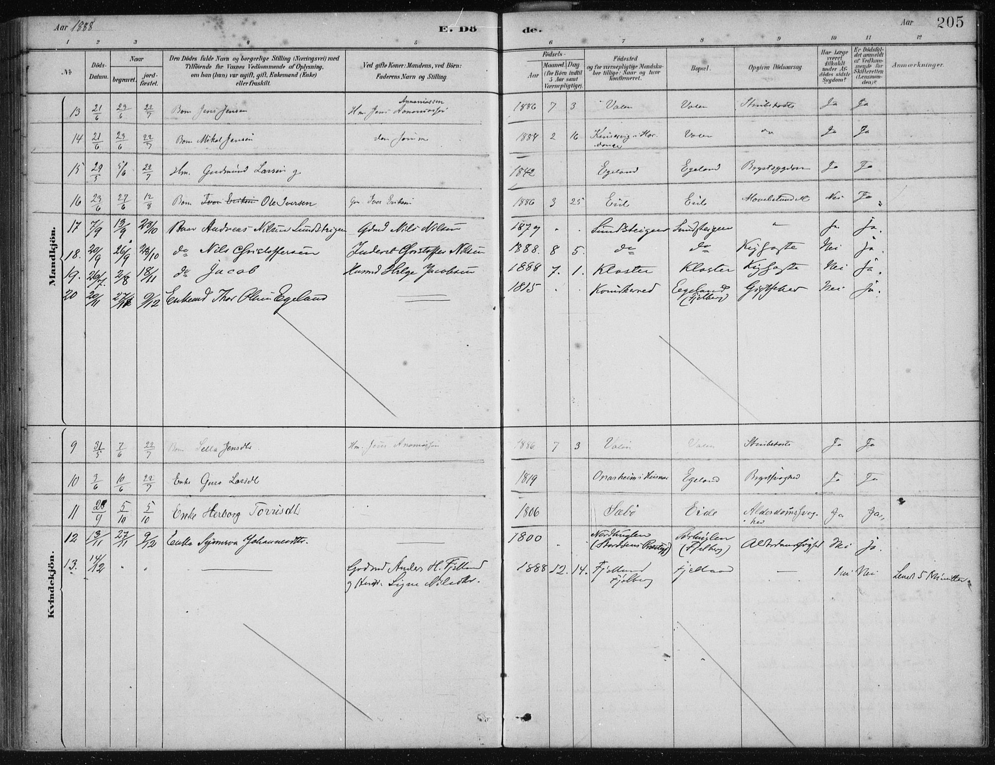 Fjelberg sokneprestembete, AV/SAB-A-75201/H/Haa: Parish register (official) no. C  1, 1879-1918, p. 205