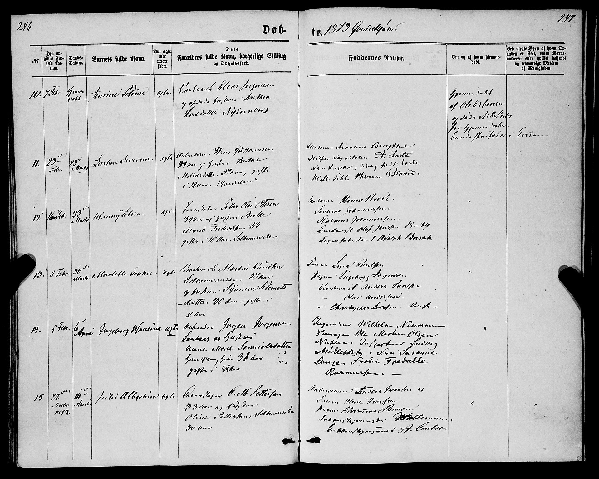 St. Jørgens hospital og Årstad sokneprestembete, AV/SAB-A-99934: Parish register (official) no. A 6, 1870-1878, p. 246-247