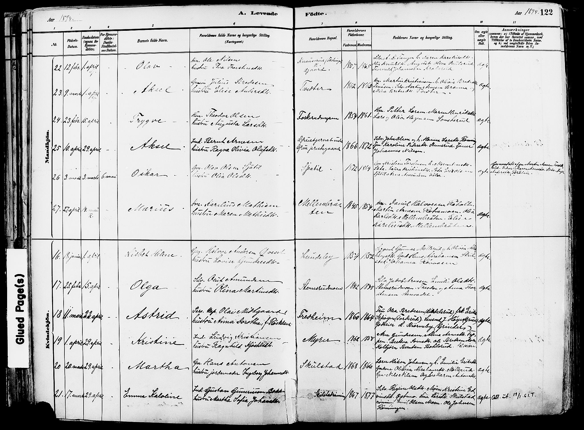 Grue prestekontor, AV/SAH-PREST-036/H/Ha/Haa/L0012: Parish register (official) no. 12, 1881-1897, p. 122