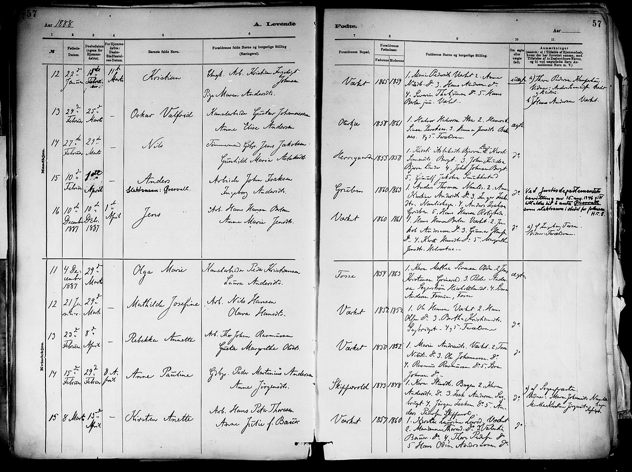 Holla kirkebøker, AV/SAKO-A-272/F/Fa/L0008: Parish register (official) no. 8, 1882-1897, p. 57