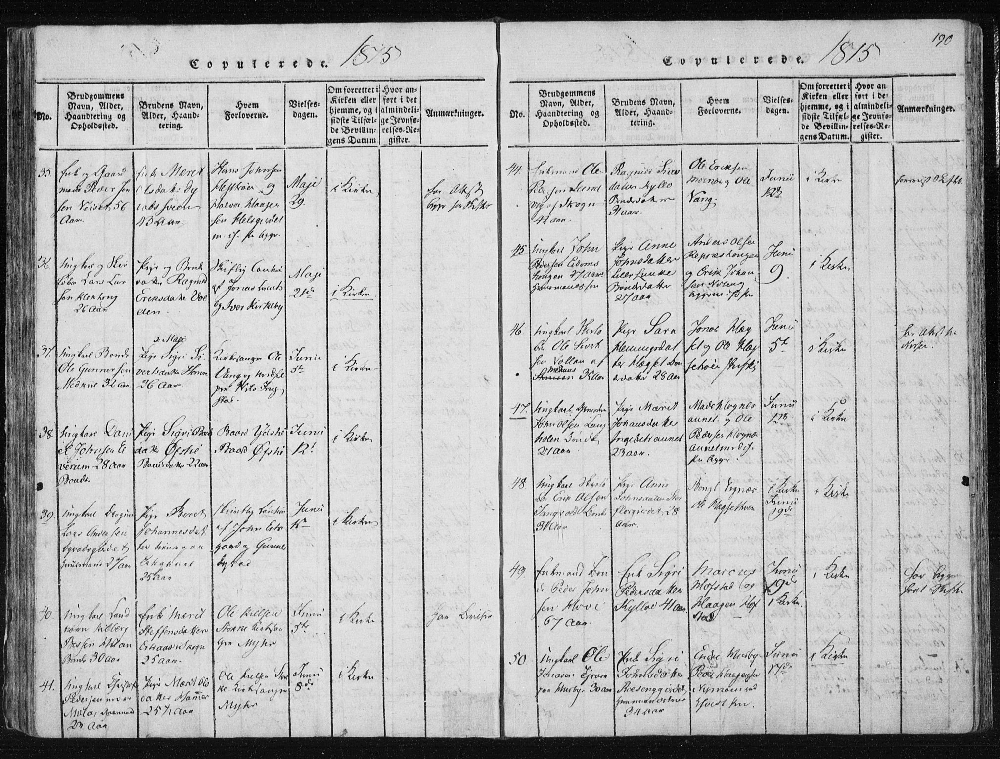 Ministerialprotokoller, klokkerbøker og fødselsregistre - Nord-Trøndelag, AV/SAT-A-1458/709/L0061: Parish register (official) no. 709A08 /1, 1815-1819, p. 190