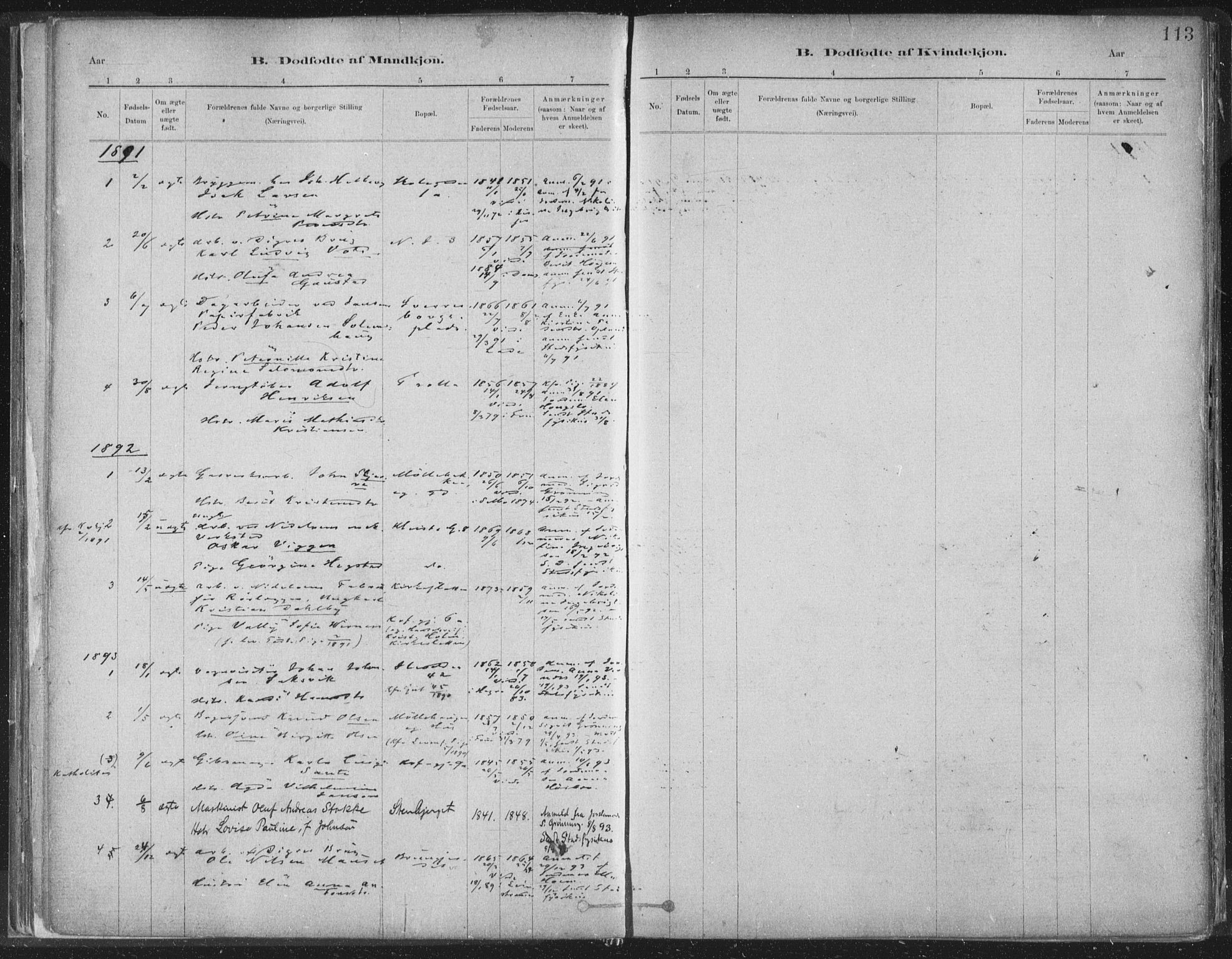 Ministerialprotokoller, klokkerbøker og fødselsregistre - Sør-Trøndelag, SAT/A-1456/603/L0162: Parish register (official) no. 603A01, 1879-1895, p. 113