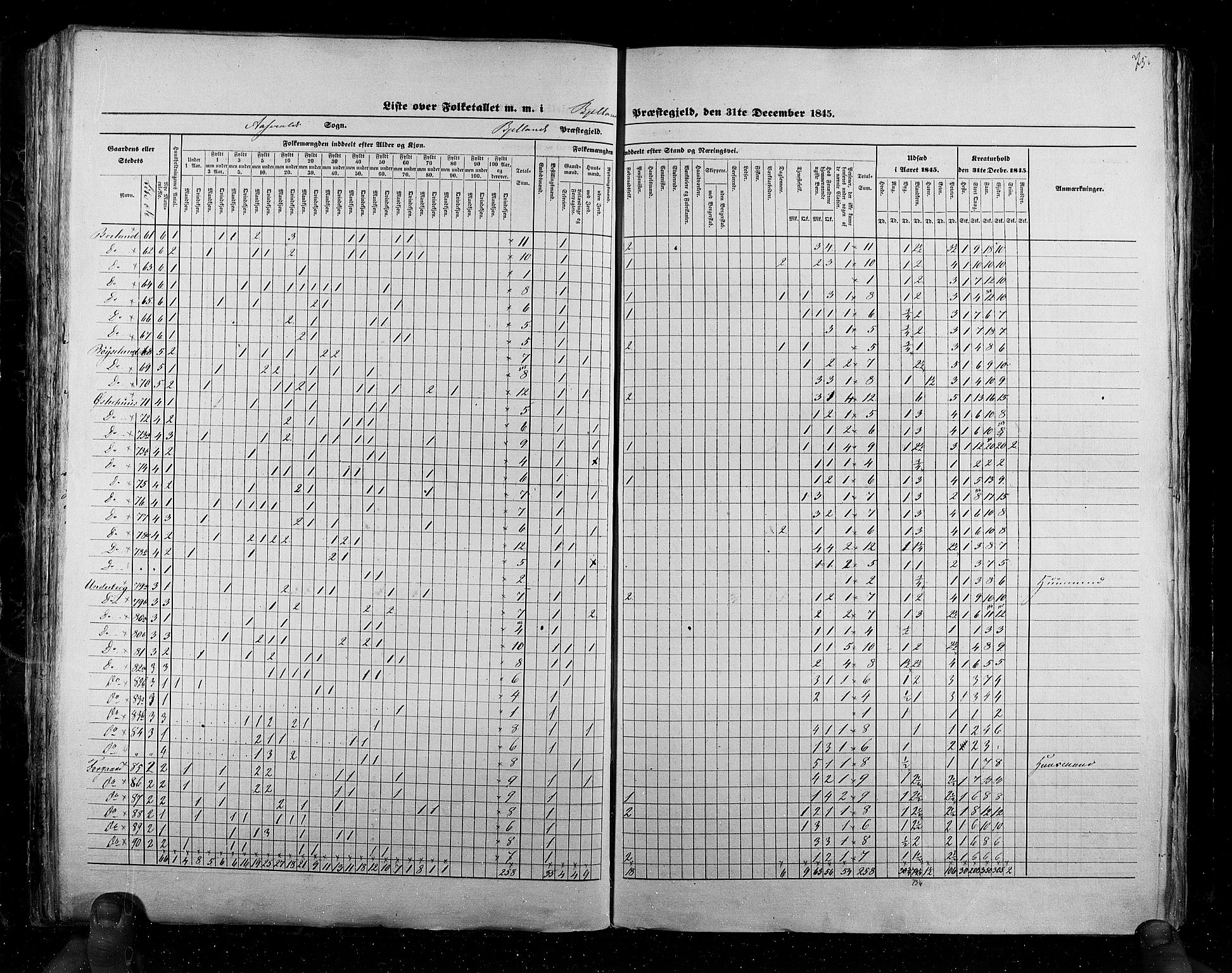 RA, Census 1845, vol. 6: Lister og Mandal amt og Stavanger amt, 1845, p. 75