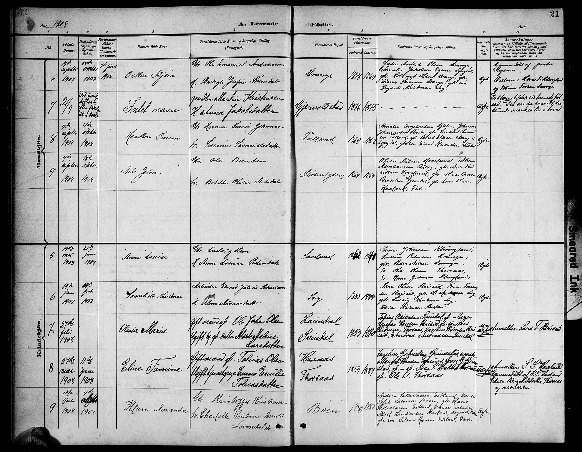 Herad sokneprestkontor, AV/SAK-1111-0018/F/Fb/Fba/L0005: Parish register (copy) no. B 5, 1899-1921, p. 21