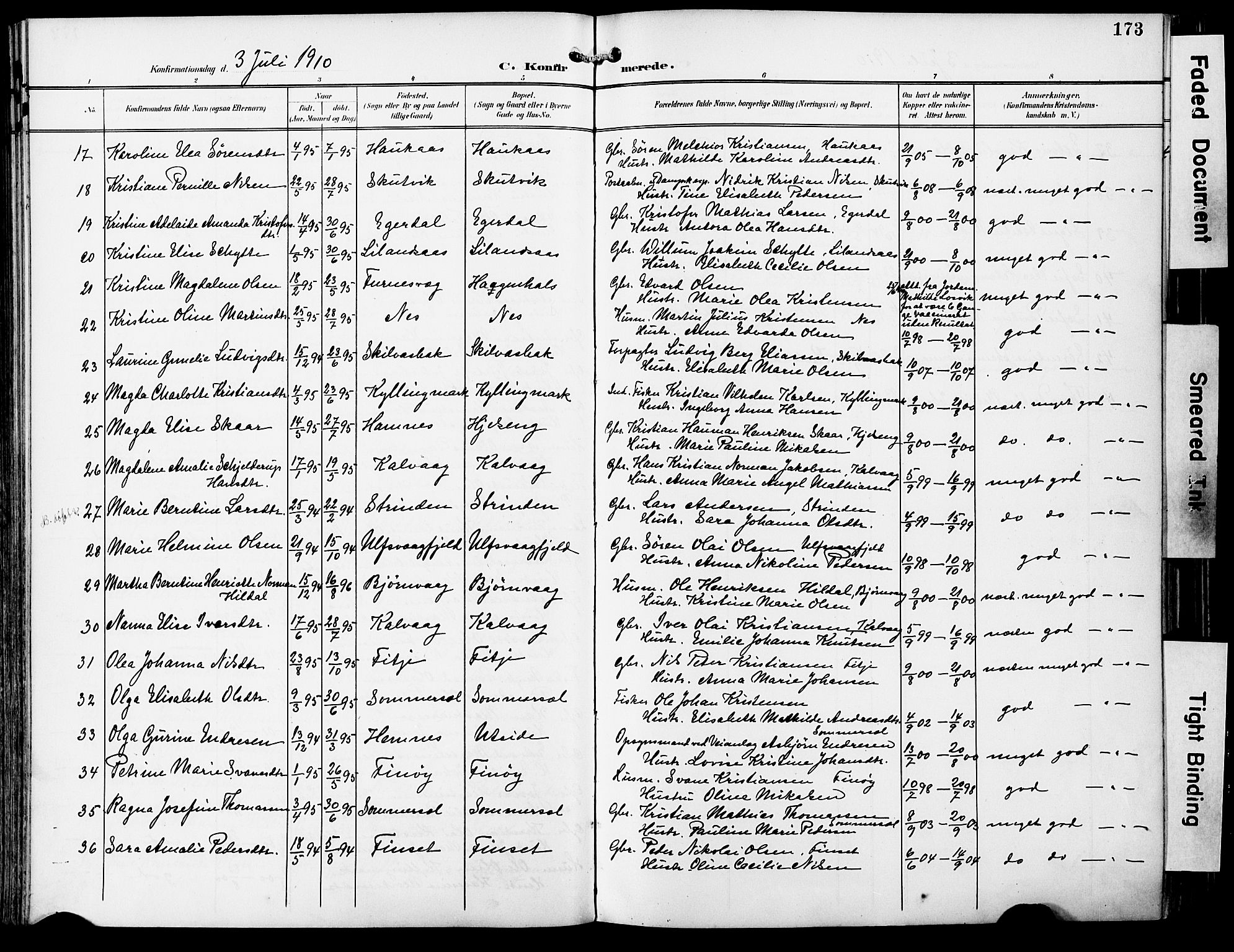 Ministerialprotokoller, klokkerbøker og fødselsregistre - Nordland, AV/SAT-A-1459/859/L0848: Parish register (official) no. 859A08, 1900-1912, p. 173