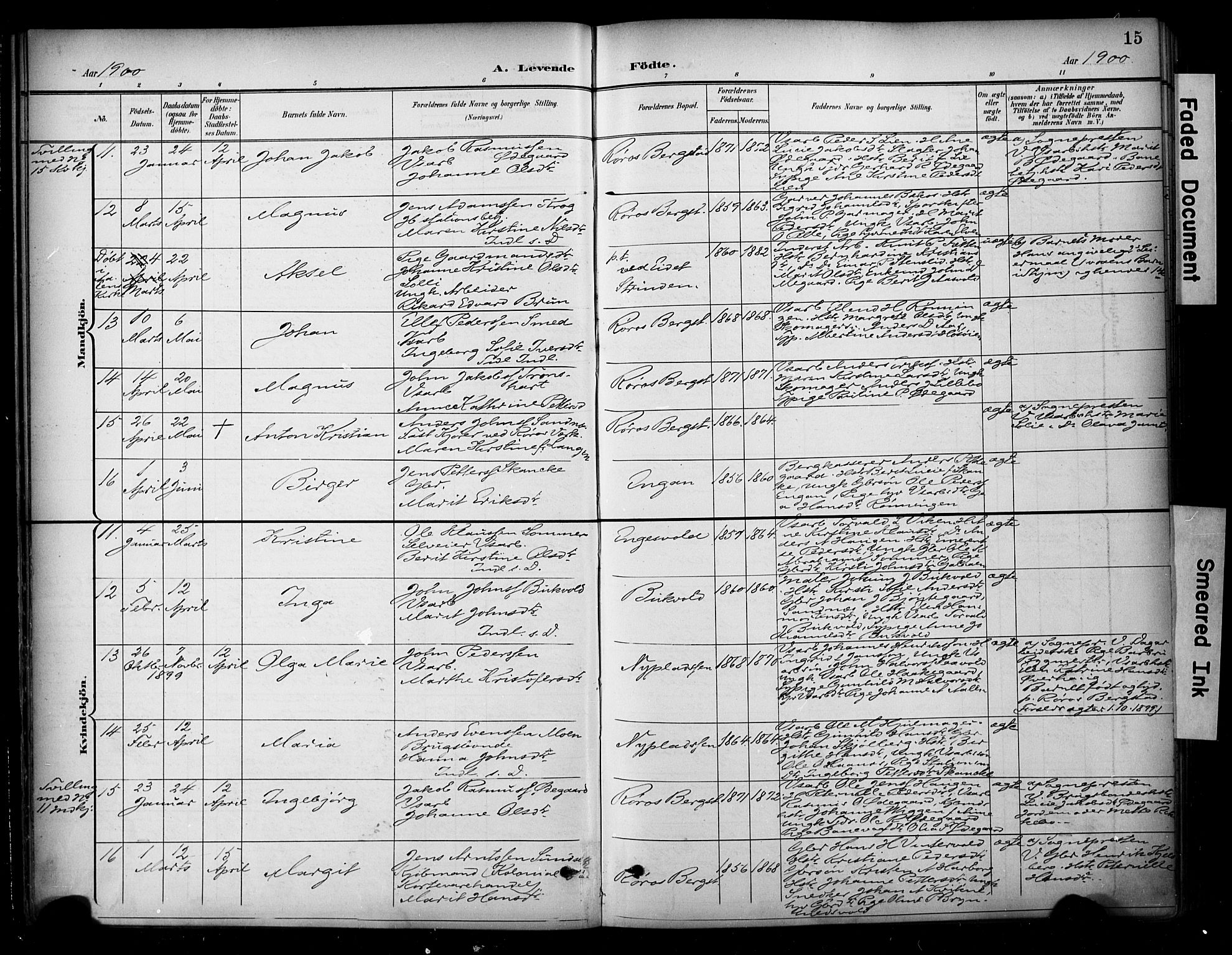 Ministerialprotokoller, klokkerbøker og fødselsregistre - Sør-Trøndelag, SAT/A-1456/681/L0936: Parish register (official) no. 681A14, 1899-1908, p. 15