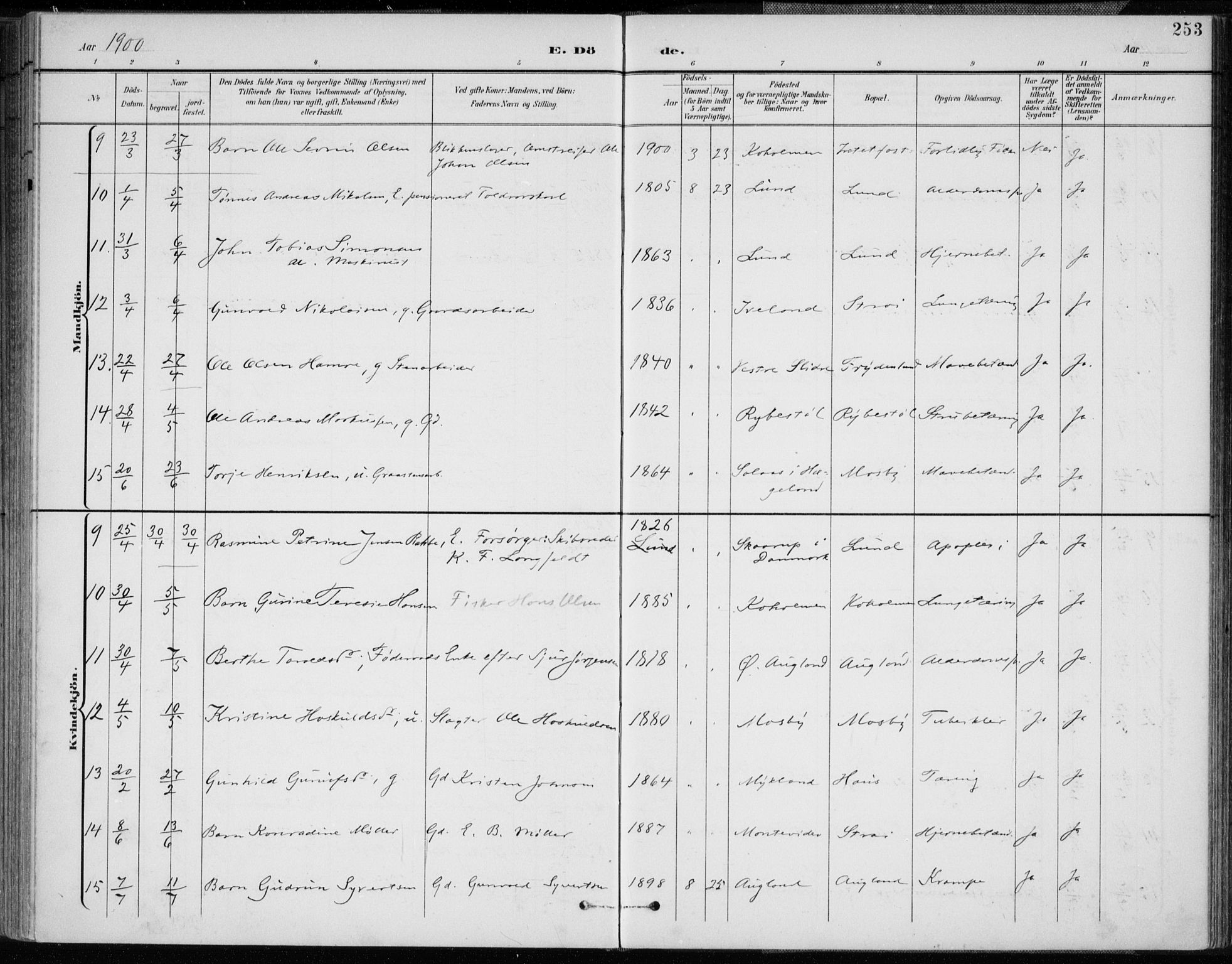 Oddernes sokneprestkontor, SAK/1111-0033/F/Fa/Faa/L0010: Parish register (official) no. A 10, 1897-1911, p. 253