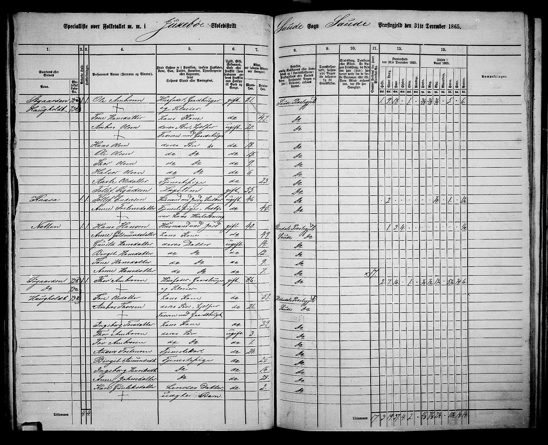 RA, 1865 census for Sauherad, 1865, p. 63