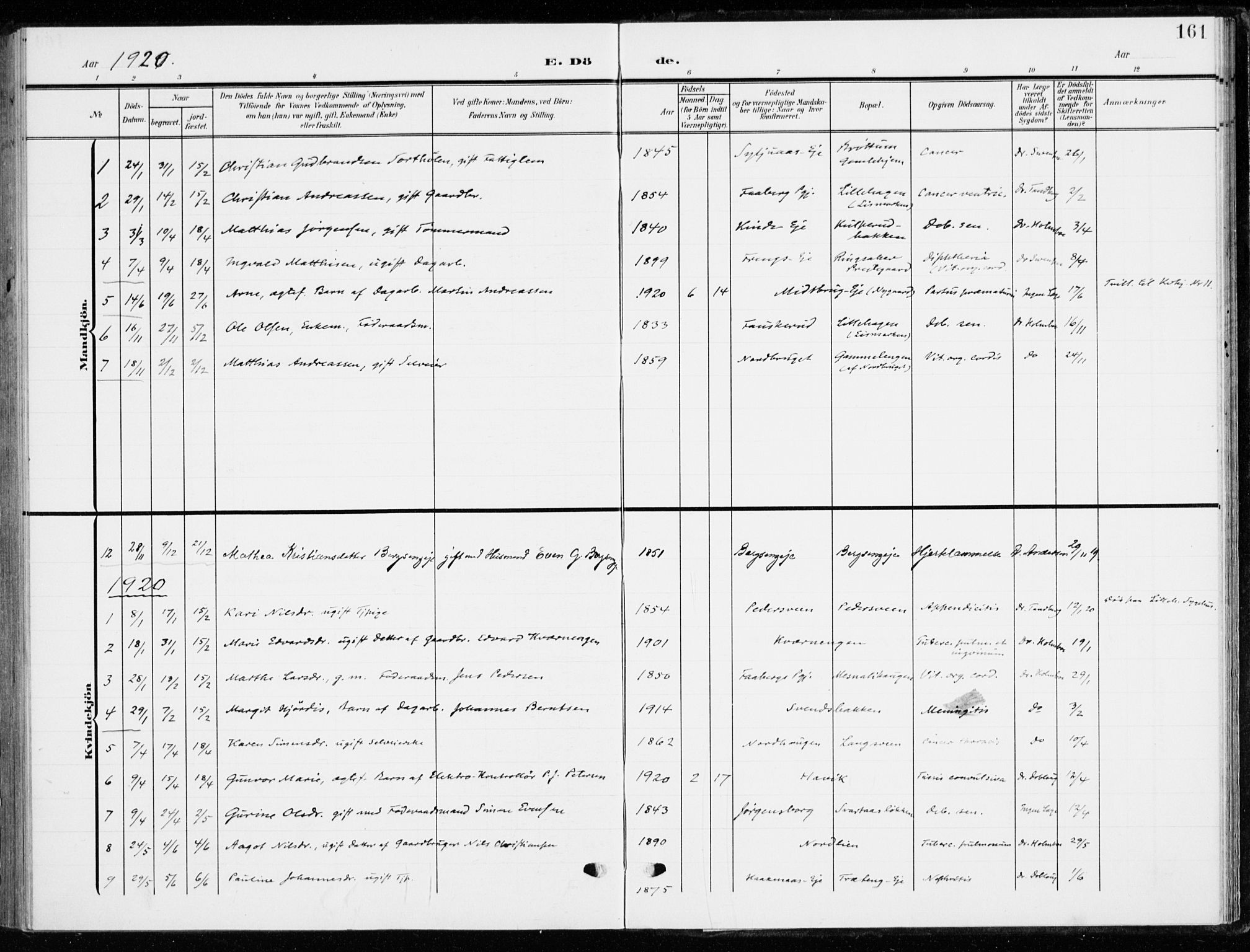 Ringsaker prestekontor, AV/SAH-PREST-014/K/Ka/L0021: Parish register (official) no. 21, 1905-1920, p. 161