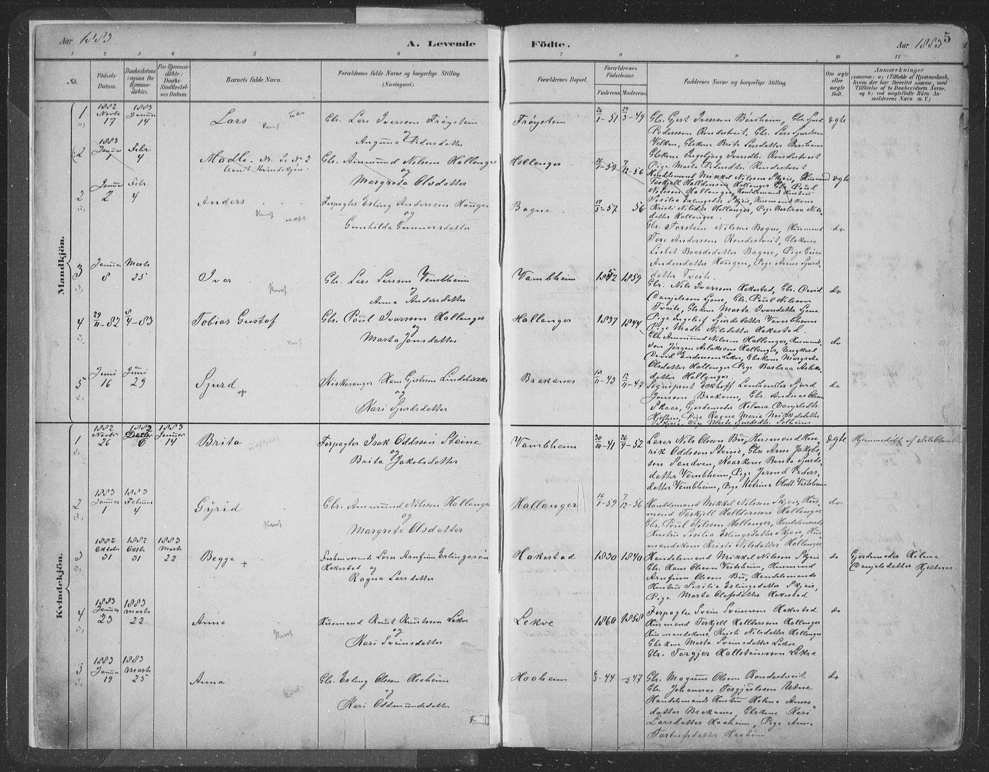 Ulvik sokneprestembete, SAB/A-78801/H/Hab: Parish register (copy) no. A 3, 1883-1908, p. 5
