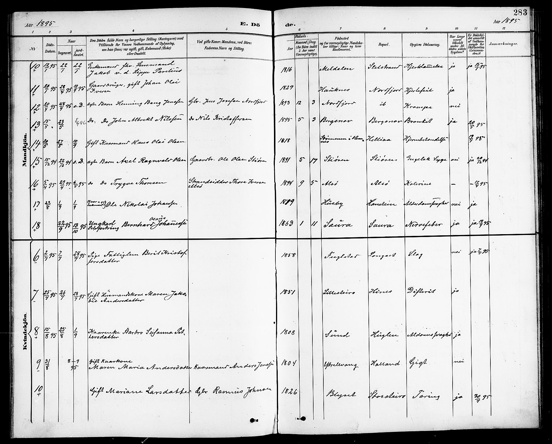 Ministerialprotokoller, klokkerbøker og fødselsregistre - Nordland, AV/SAT-A-1459/838/L0559: Parish register (copy) no. 838C06, 1893-1910, p. 283