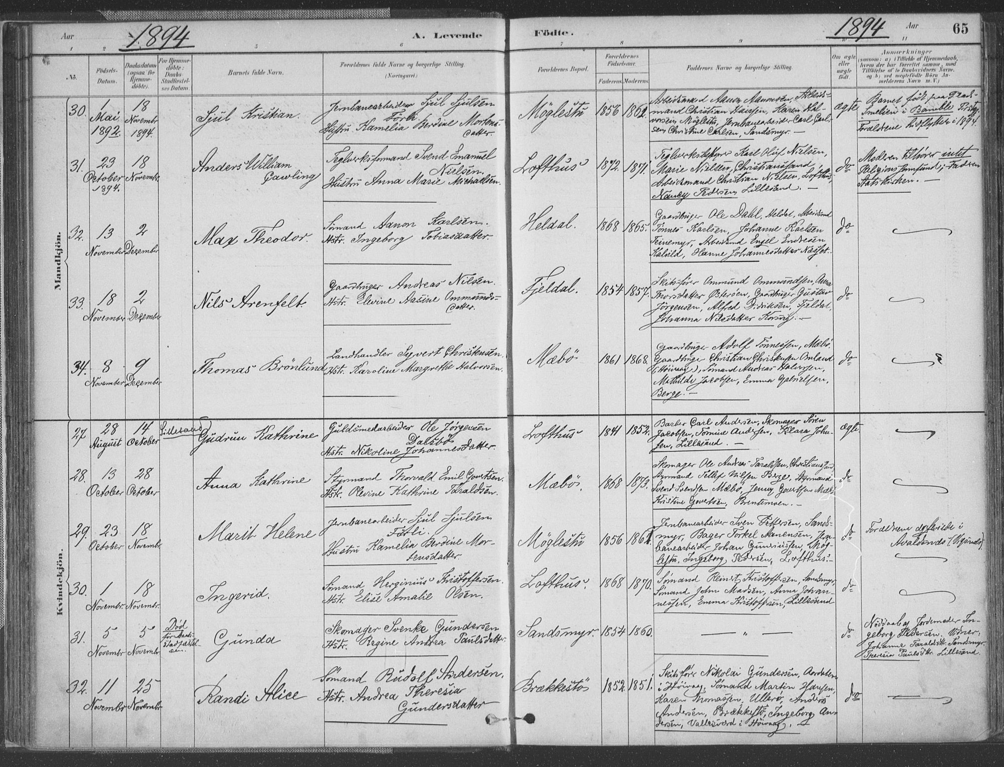 Vestre Moland sokneprestkontor, AV/SAK-1111-0046/F/Fa/Fab/L0009: Parish register (official) no. A 9, 1884-1899, p. 65