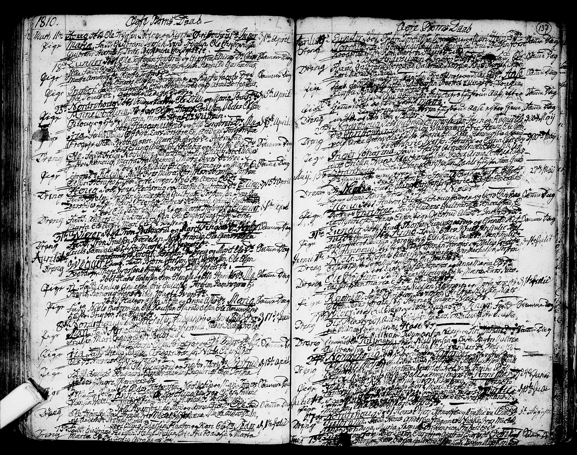 Norderhov kirkebøker, AV/SAKO-A-237/F/Fa/L0006: Parish register (official) no. 6, 1789-1811, p. 137