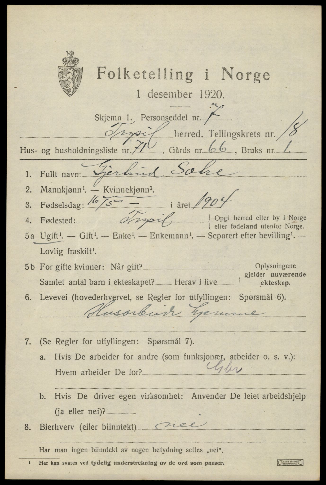SAH, 1920 census for Trysil, 1920, p. 12629