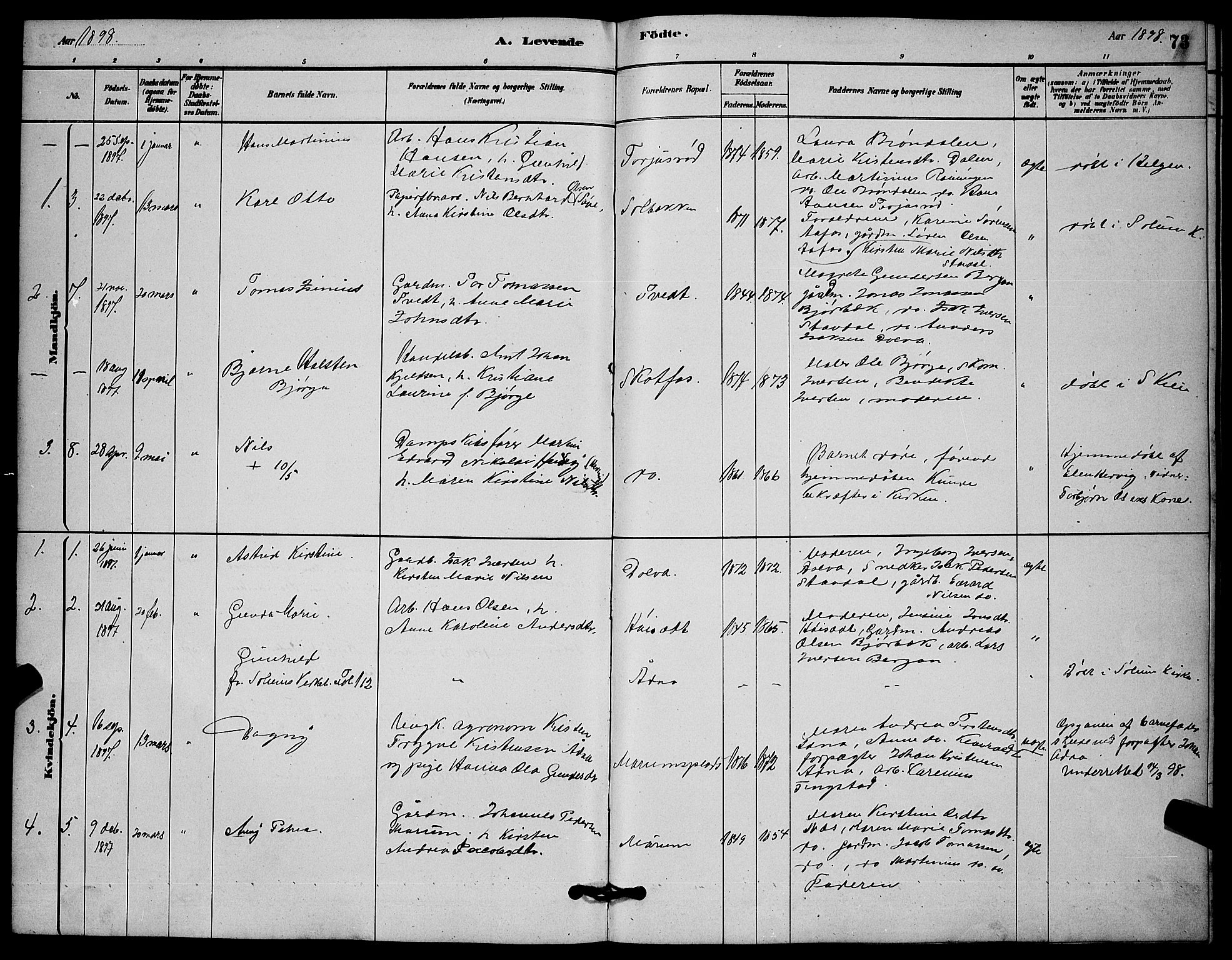 Solum kirkebøker, AV/SAKO-A-306/G/Gb/L0003: Parish register (copy) no. II 3, 1880-1898, p. 73