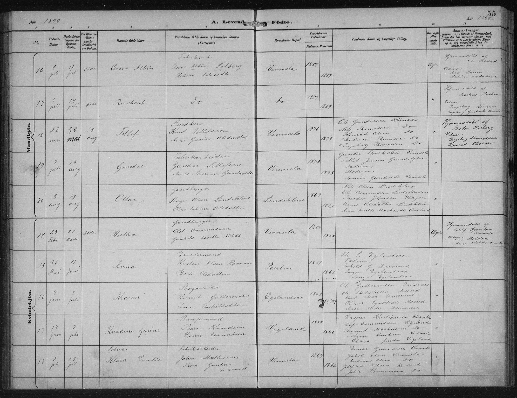 Vennesla sokneprestkontor, AV/SAK-1111-0045/Fb/Fbb/L0004: Parish register (copy) no. B 4, 1893-1902, p. 55