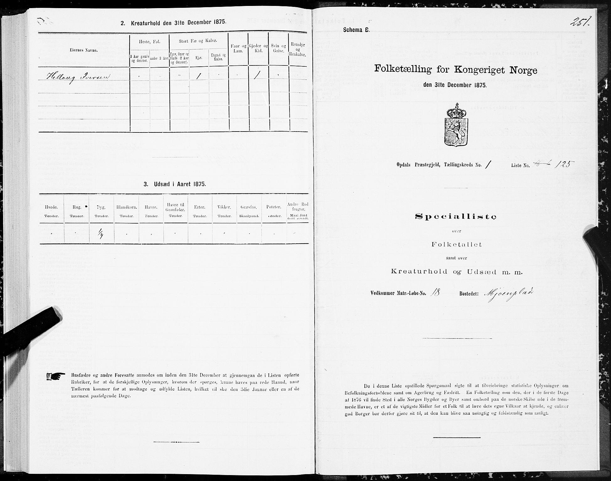 SAT, 1875 census for 1634P Oppdal, 1875, p. 1251