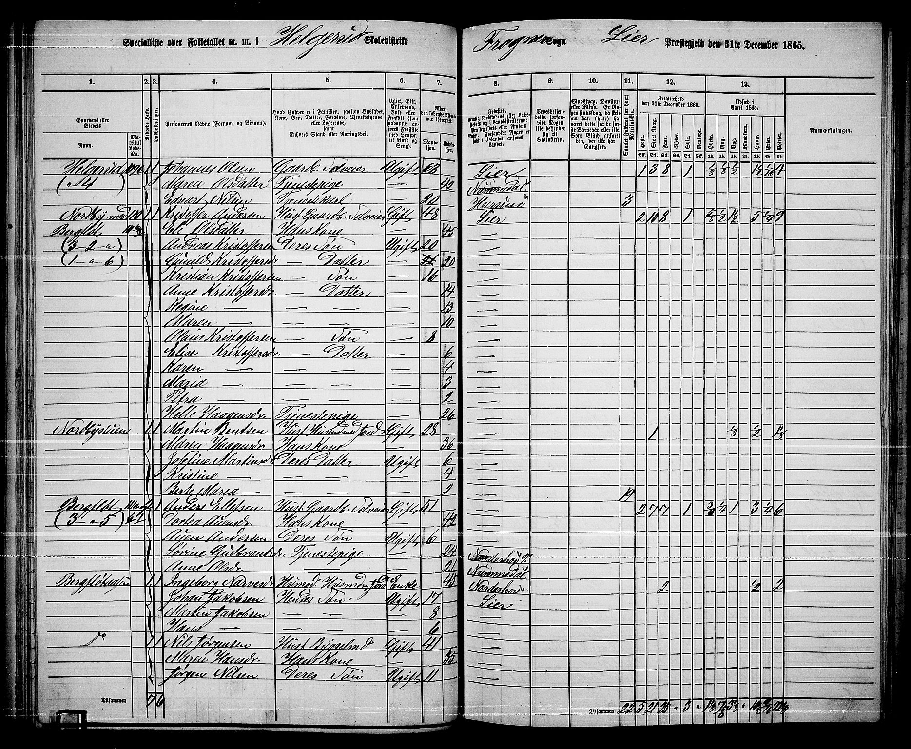 RA, 1865 census for Lier, 1865, p. 72