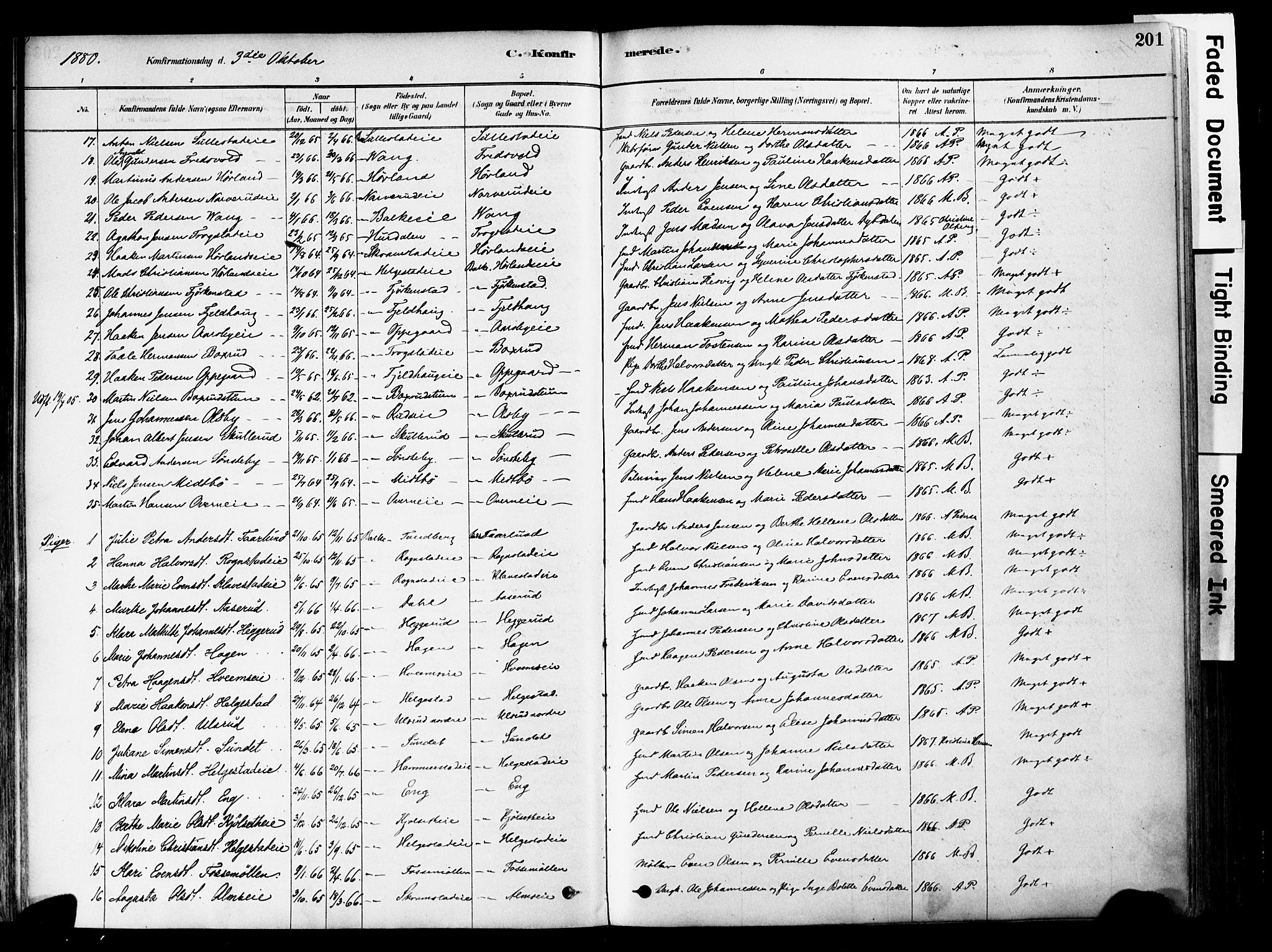 Østre Toten prestekontor, SAH/PREST-104/H/Ha/Haa/L0006: Parish register (official) no. 6 /1, 1878-1896, p. 201