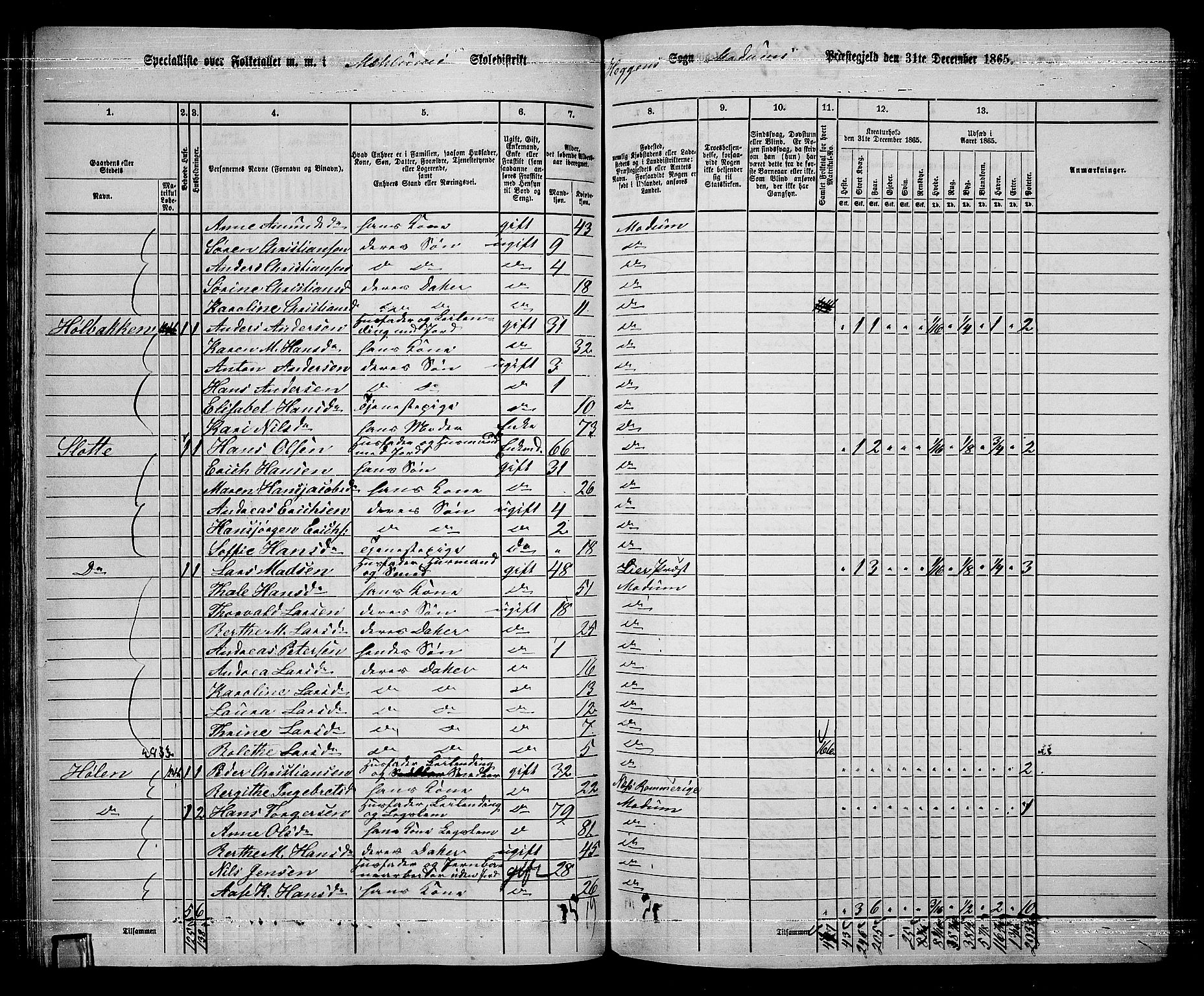 RA, 1865 census for Modum, 1865, p. 88