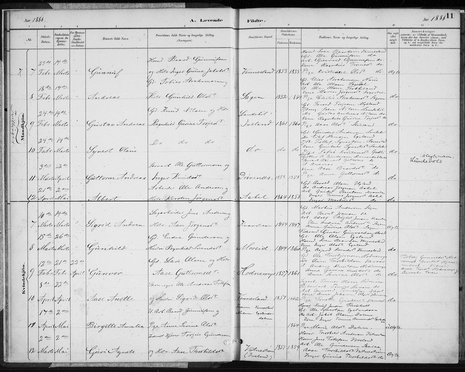 Vennesla sokneprestkontor, AV/SAK-1111-0045/Fa/Fab/L0004: Parish register (official) no. A 4, 1884-1896, p. 11