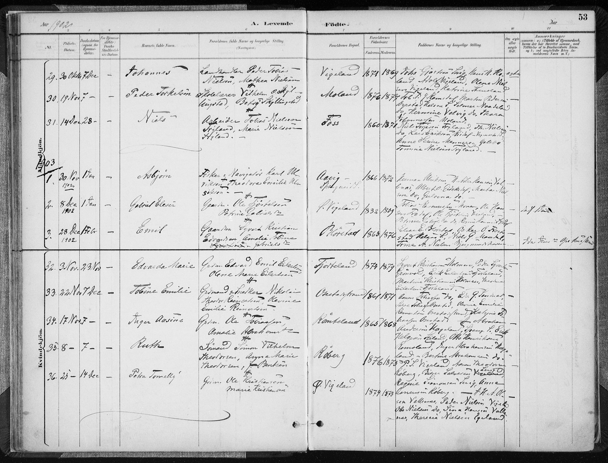 Sør-Audnedal sokneprestkontor, AV/SAK-1111-0039/F/Fa/Fab/L0010: Parish register (official) no. A 10, 1892-1913, p. 53