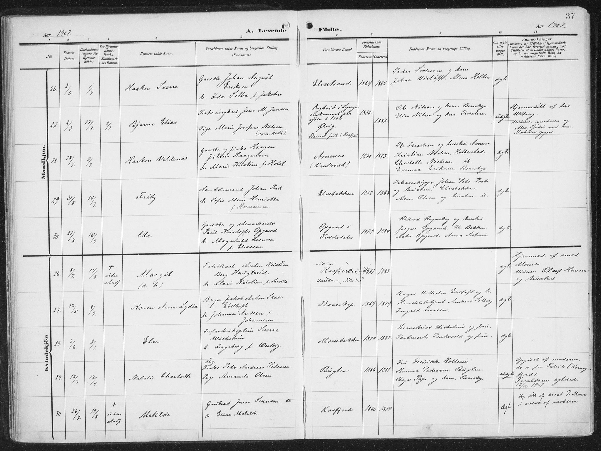 Alta sokneprestkontor, SATØ/S-1338/H/Ha/L0005.kirke: Parish register (official) no. 5, 1904-1918, p. 37