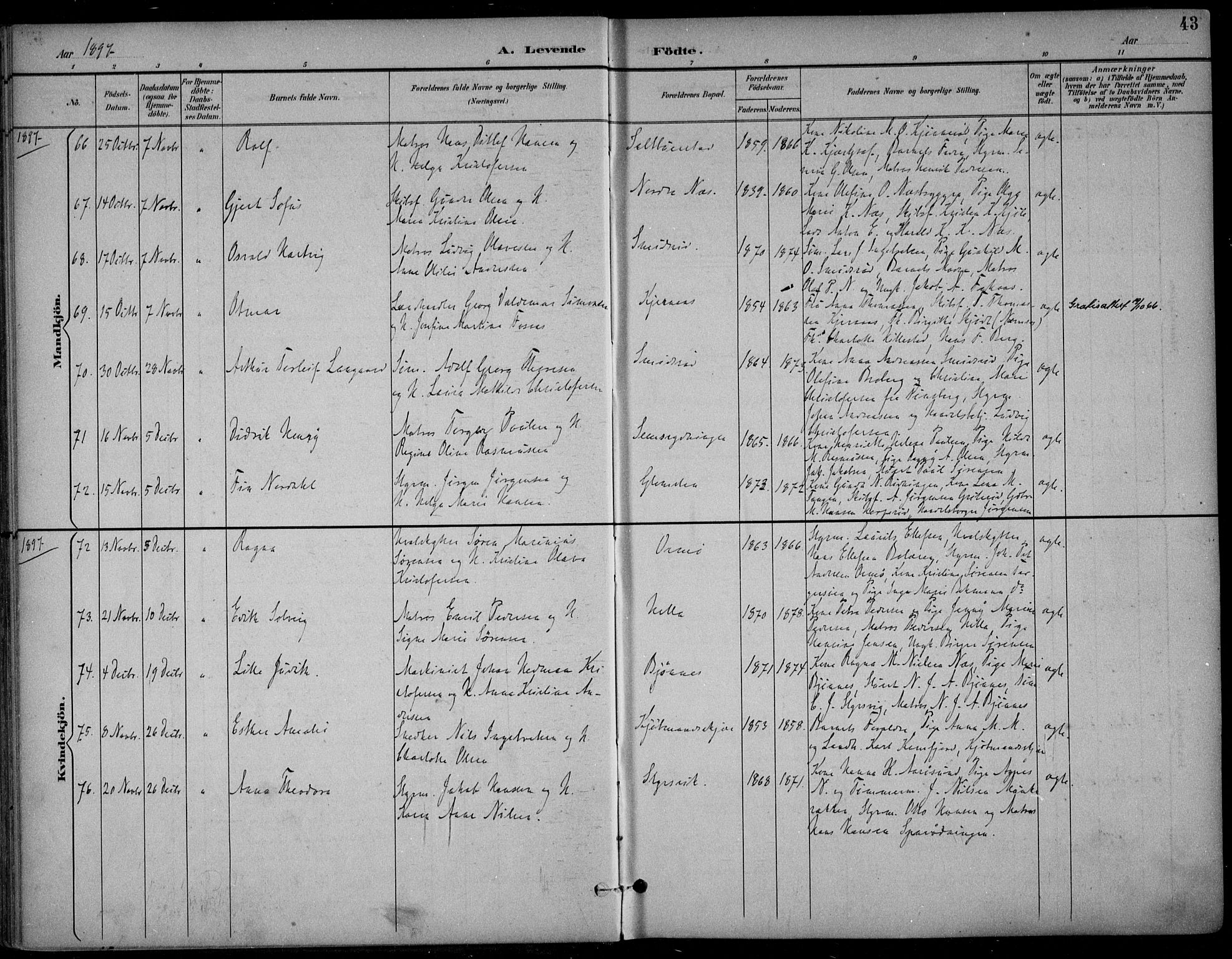 Nøtterøy kirkebøker, SAKO/A-354/F/Fa/L0009: Parish register (official) no. I 9, 1894-1907, p. 43