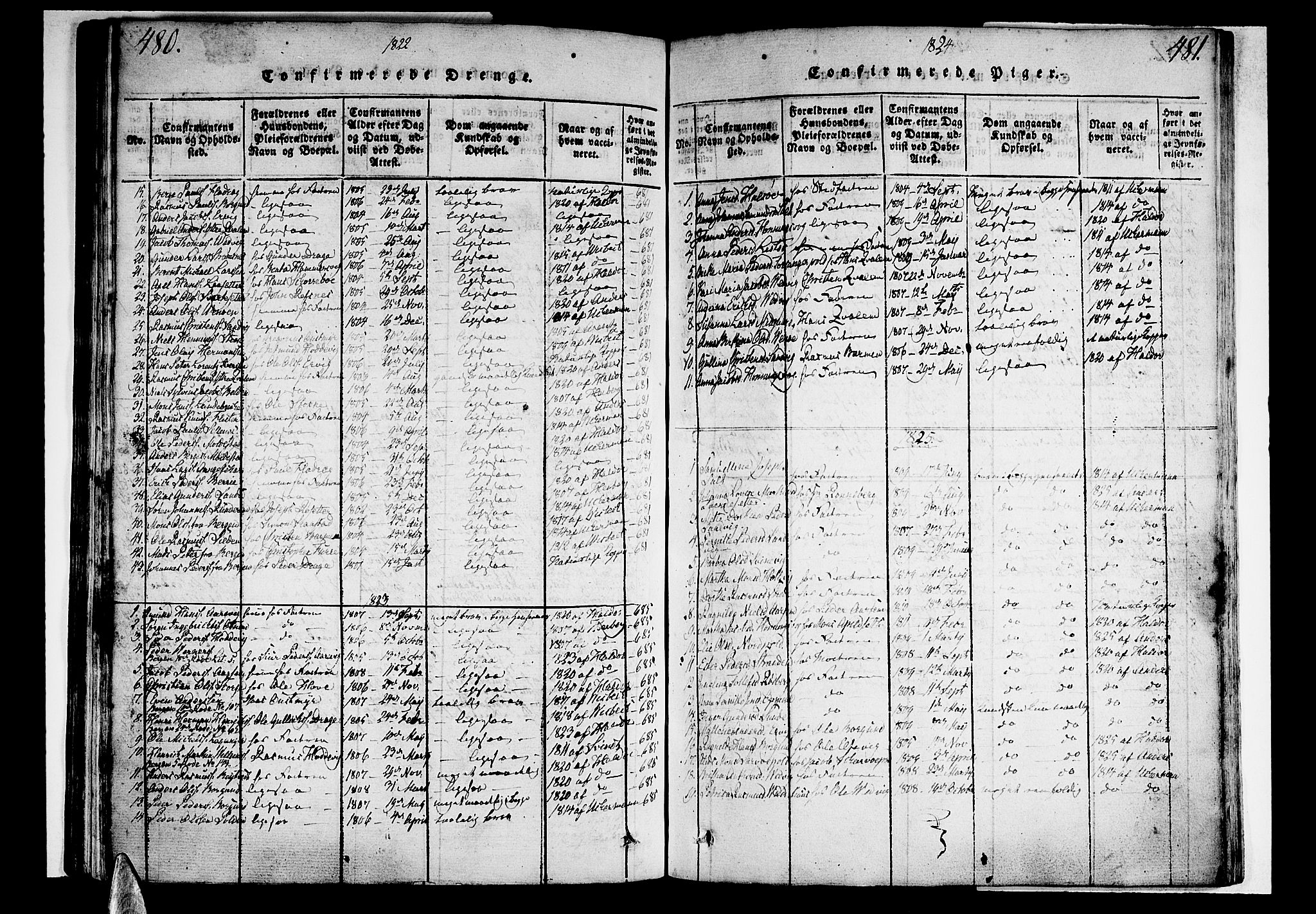 Selje sokneprestembete, SAB/A-99938/H/Ha/Haa/Haaa: Parish register (official) no. A 8, 1816-1828, p. 480-481