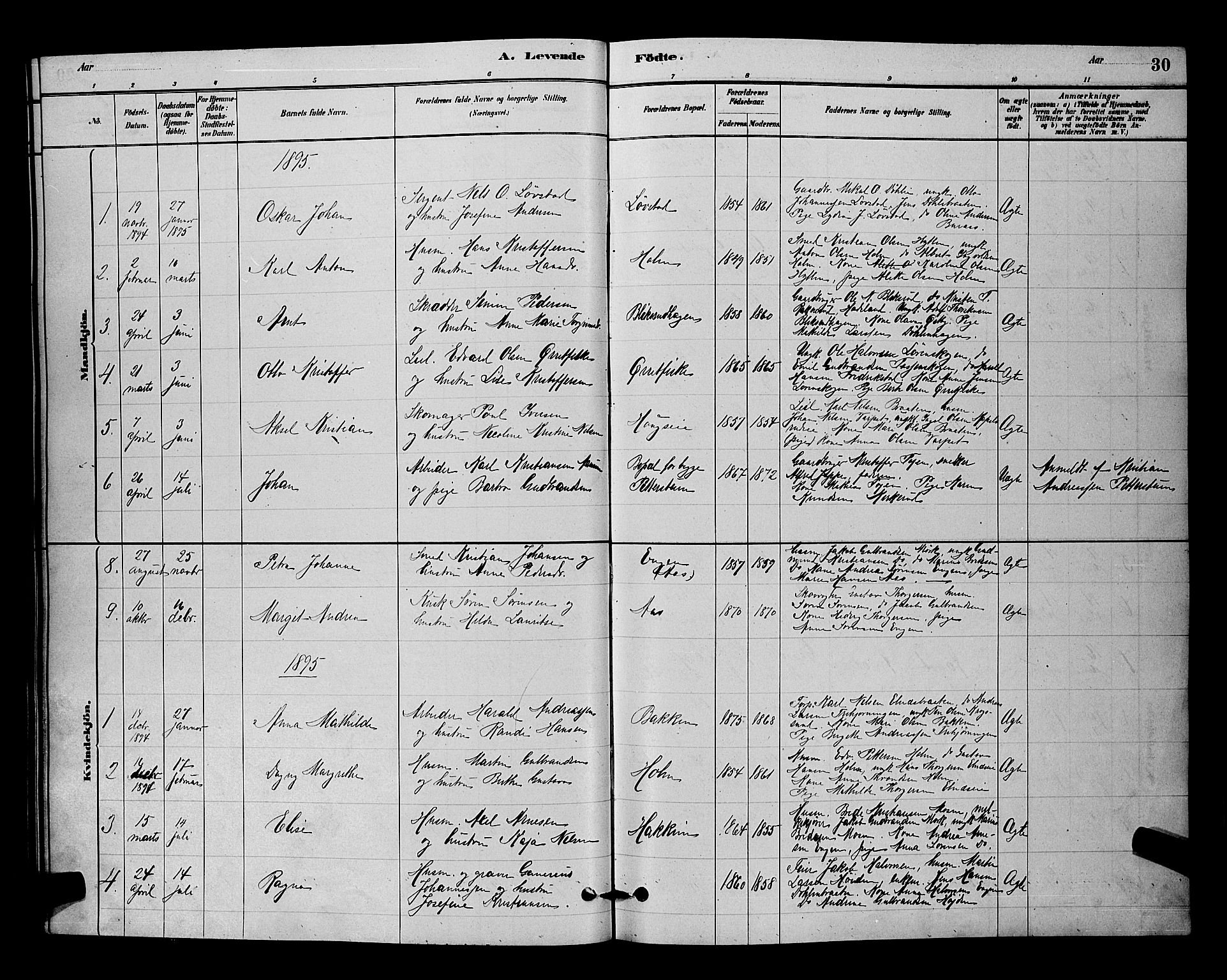 Nittedal prestekontor Kirkebøker, AV/SAO-A-10365a/G/Gb/L0002: Parish register (copy) no. II 2, 1879-1901, p. 30