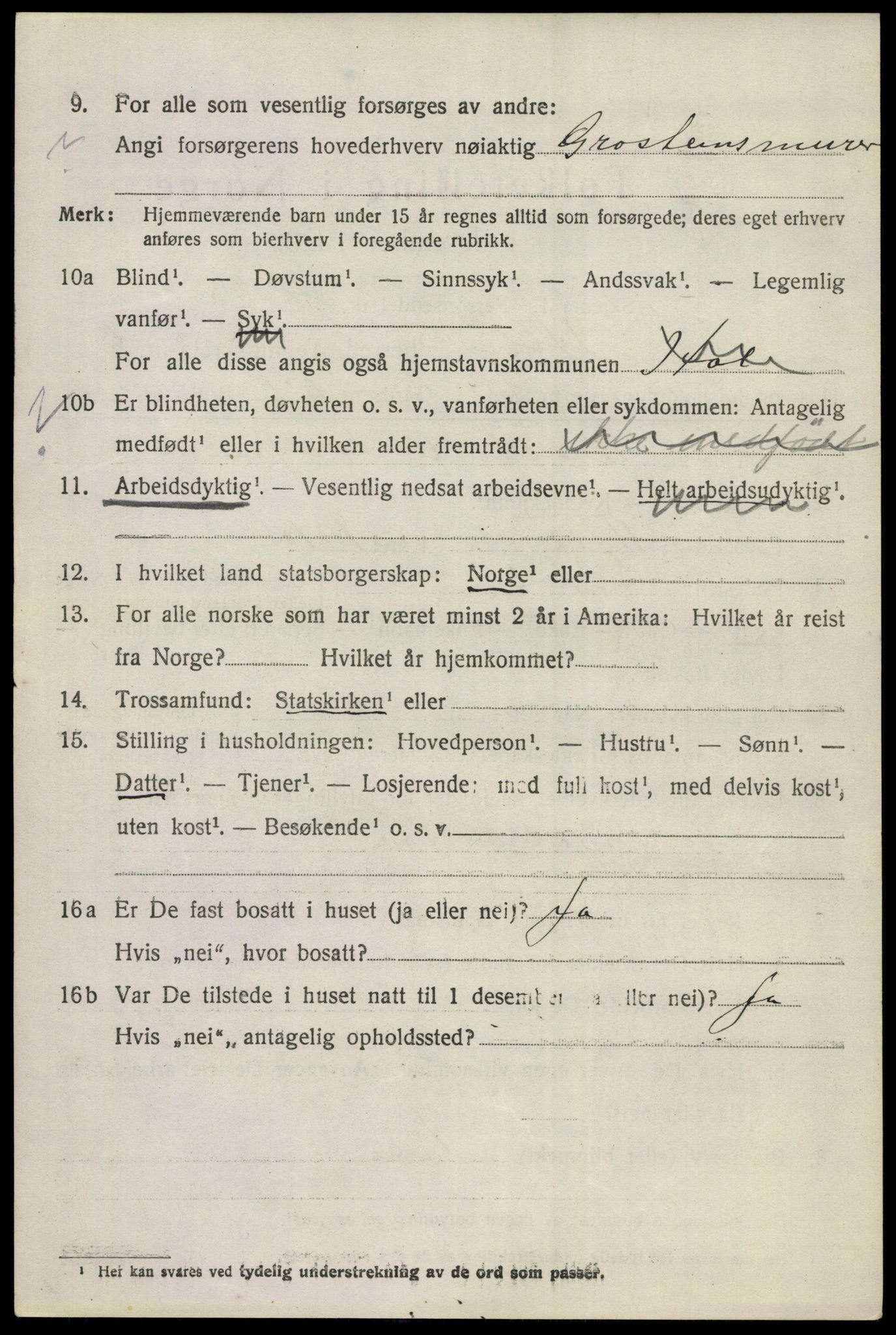 SAKO, 1920 census for Hol (Buskerud), 1920, p. 4926