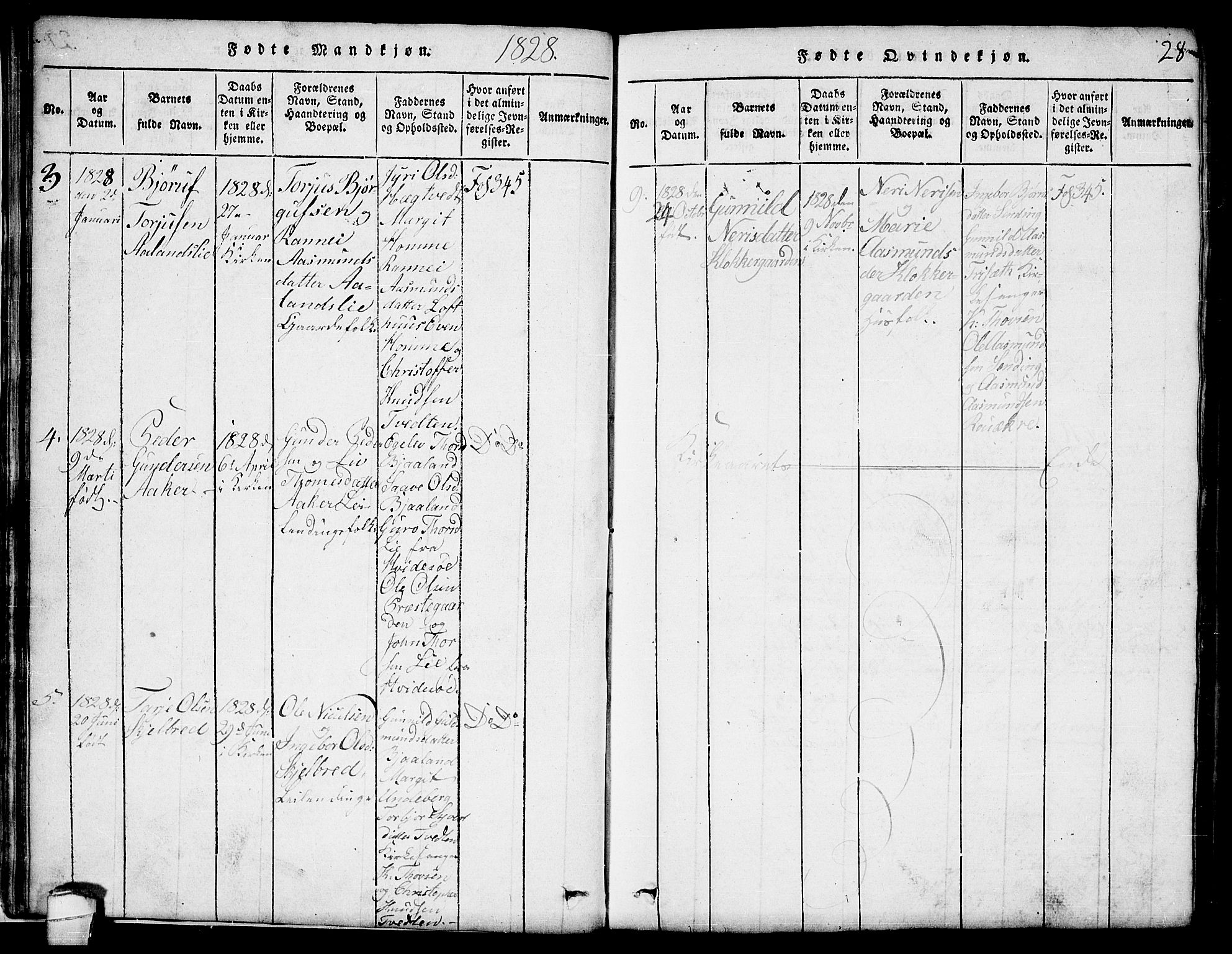Lårdal kirkebøker, SAKO/A-284/G/Ga/L0001: Parish register (copy) no. I 1, 1815-1861, p. 28