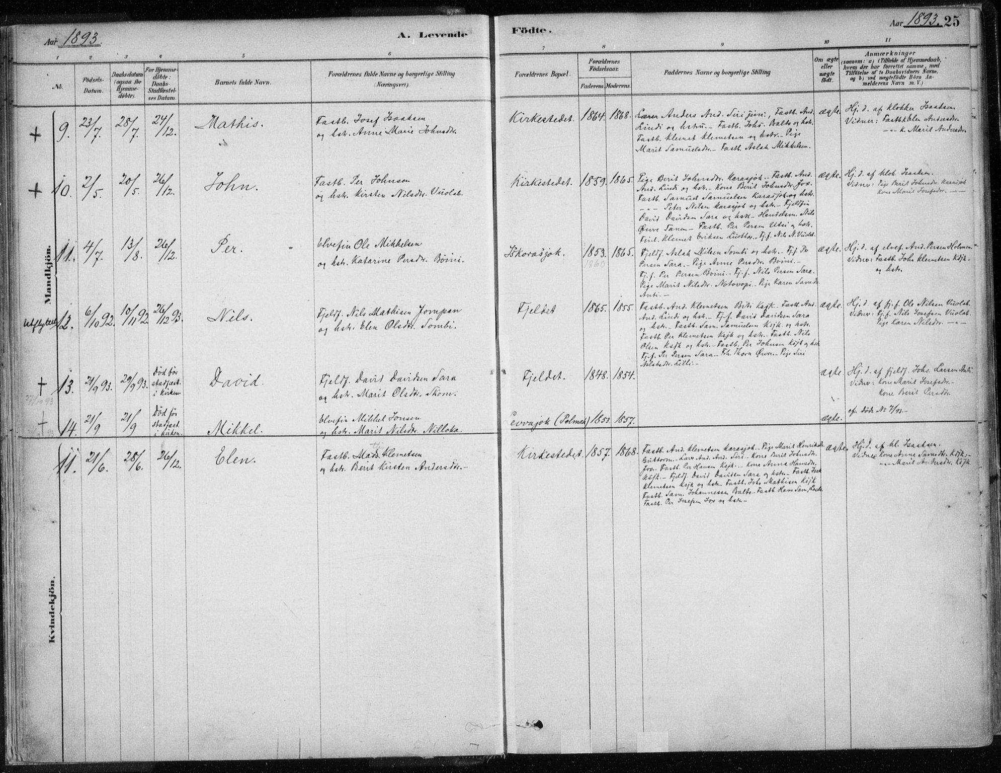 Karasjok sokneprestkontor, AV/SATØ-S-1352/H/Ha/L0002kirke: Parish register (official) no. 2, 1885-1906, p. 25