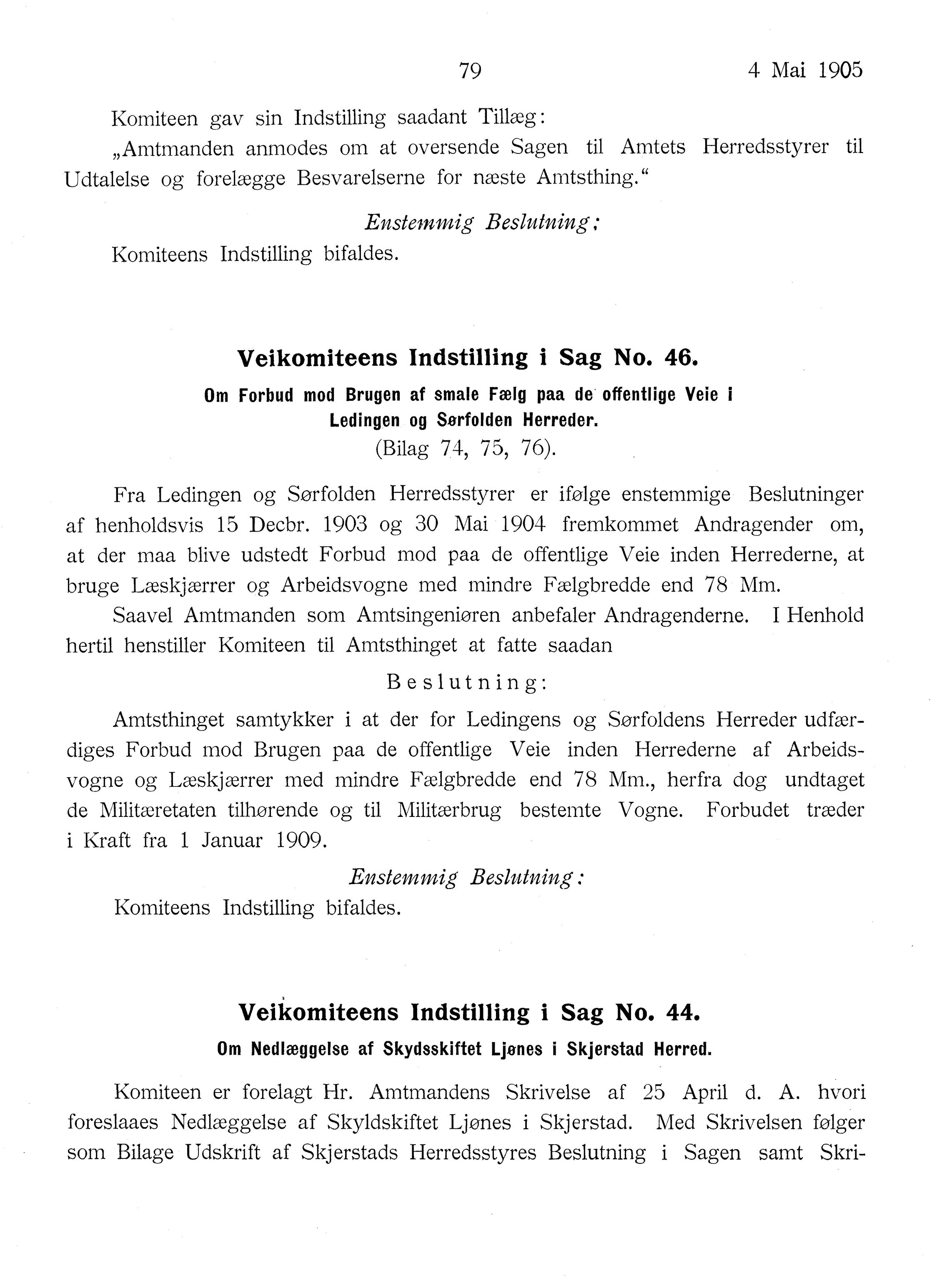 Nordland Fylkeskommune. Fylkestinget, AIN/NFK-17/176/A/Ac/L0028: Fylkestingsforhandlinger 1905, 1905