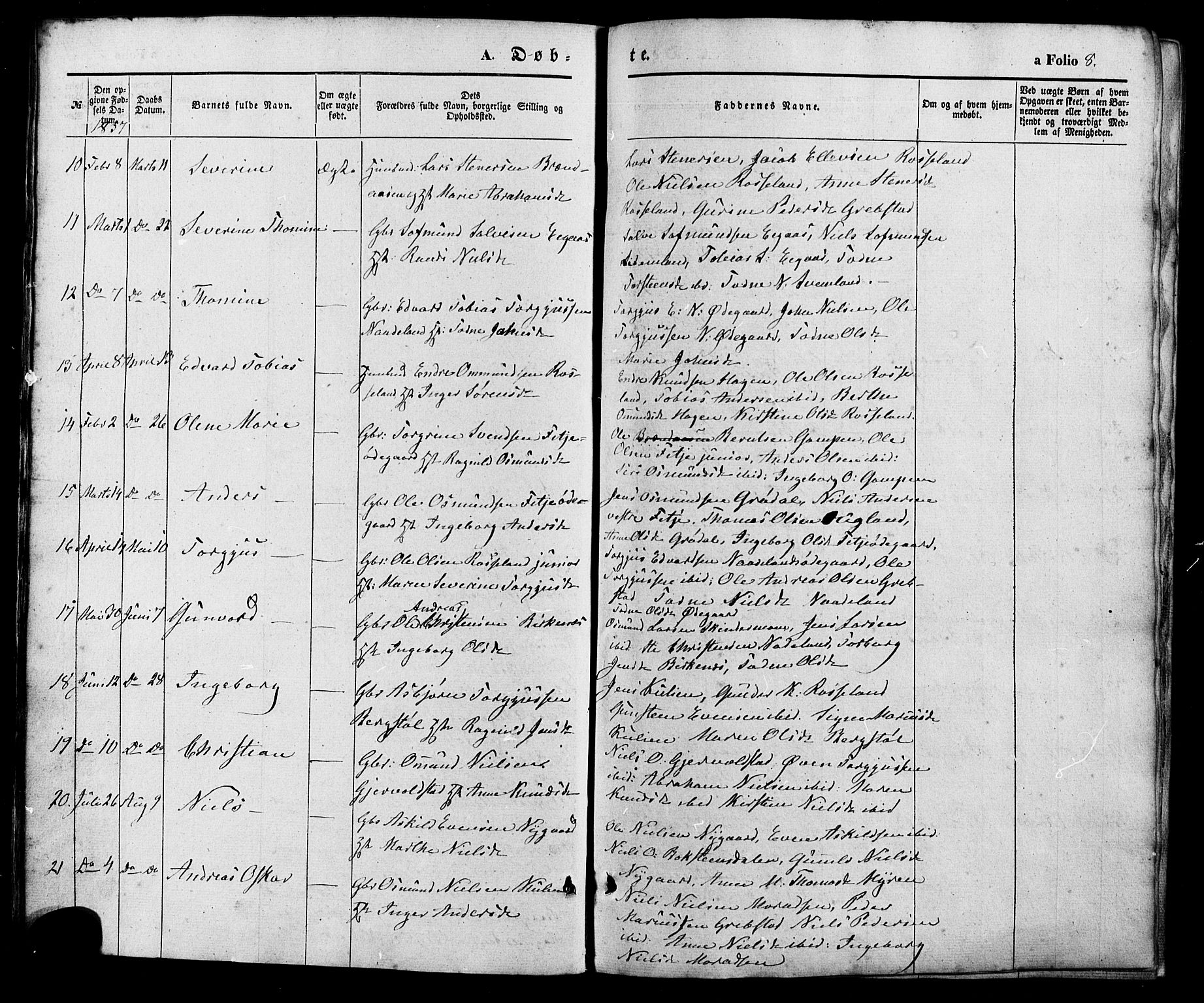 Søgne sokneprestkontor, AV/SAK-1111-0037/F/Fa/Faa/L0002: Parish register (official) no. A 2, 1854-1882, p. 8